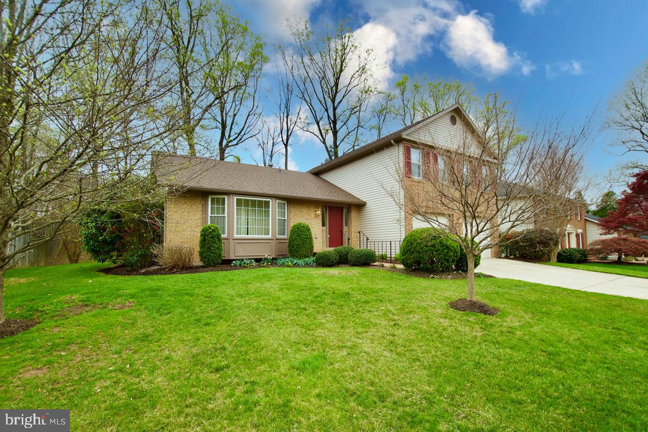 GEORGE MASON FOREST - Residential