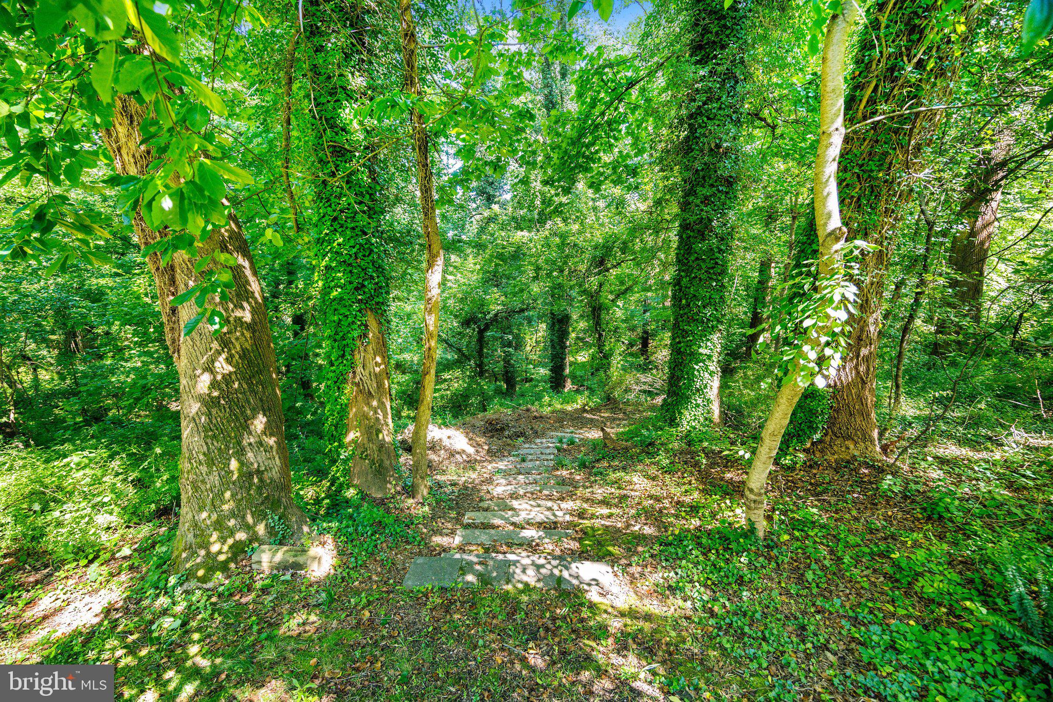 RANDALLS TRUST - Residential
