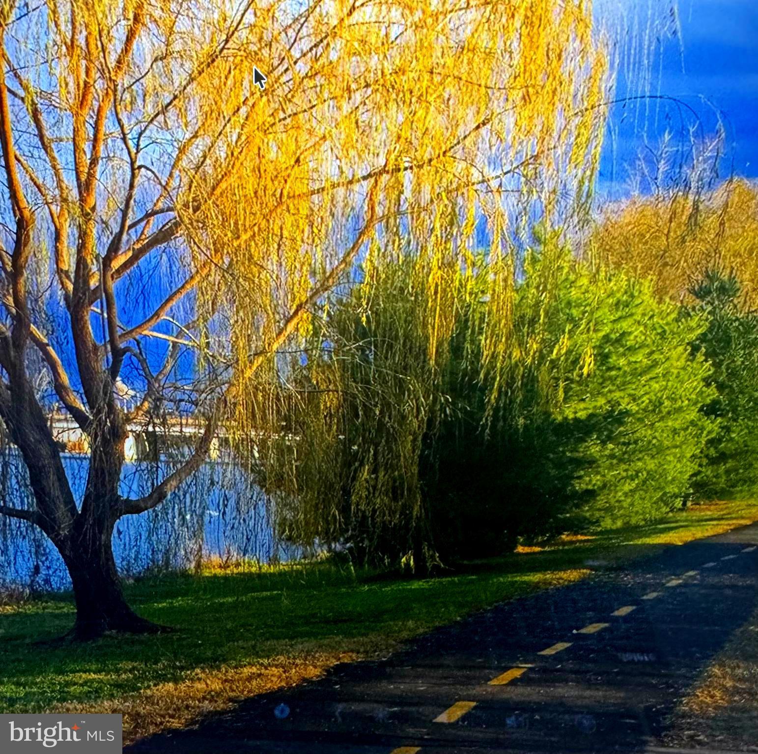 MT VERNON HILLS - Residential