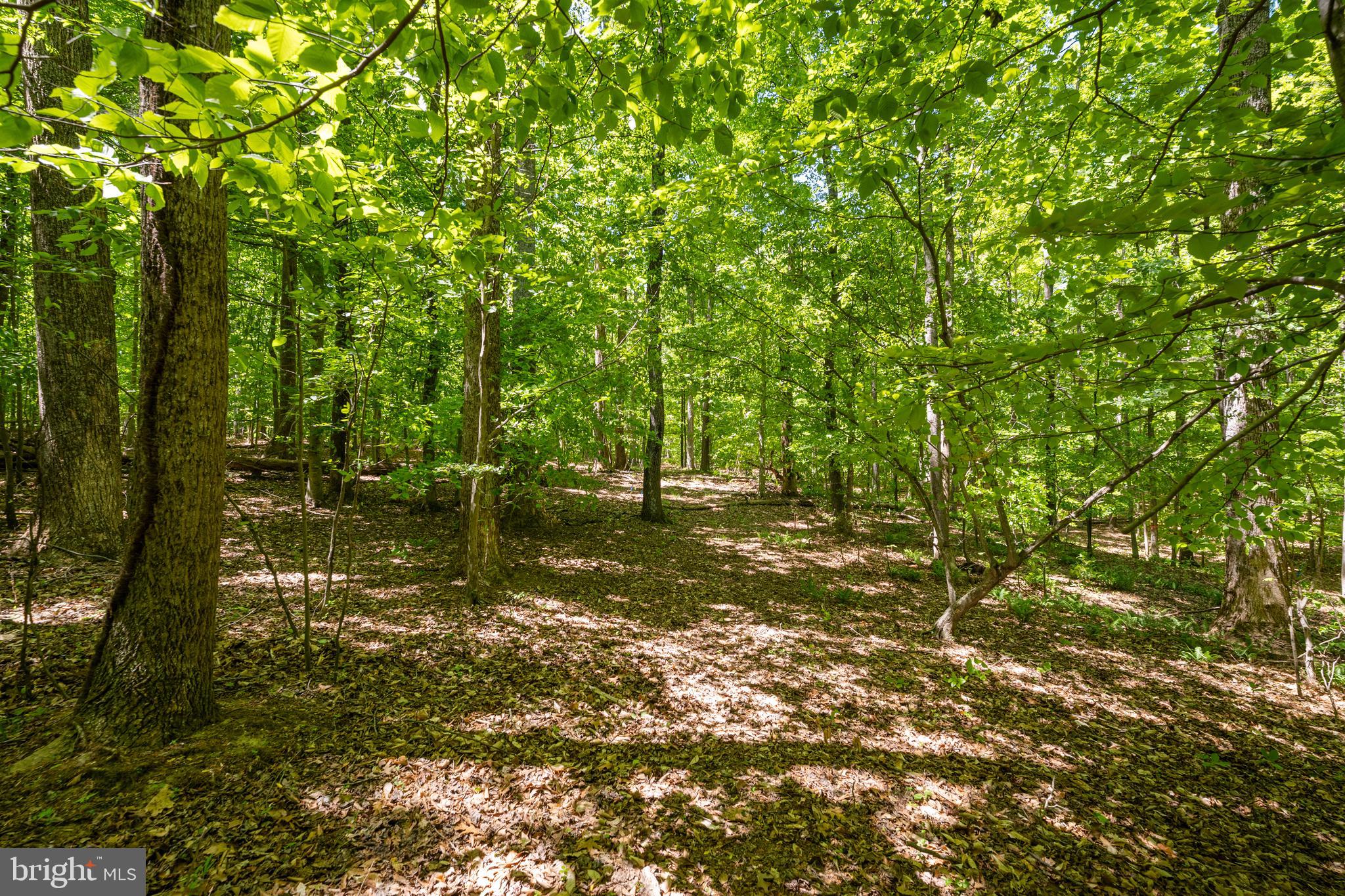 Over 6 acres of undeveloped, residentially zoned land offering a rare opportunity to build in peaceful, private Brandywine. Enjoy the tranquility of open space while remaining just minutes to Safeway, Giant, the Southern Area Aquatics and Recreation Complex, Indian Head Rail Trail, Cosca Regional Park, Cedarville State Forest, Joint Base Andrews, and Joint Base Anacostia-Bolling. Quick access to Brandywine Road, Branch Avenue, Crain Highway, Three Notch Road, and I-495.