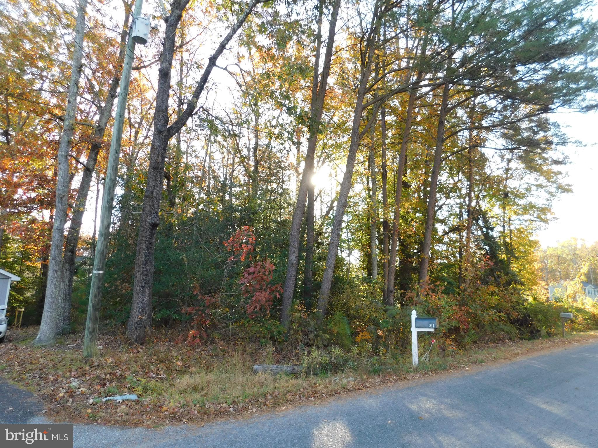 Whether you are seeking a homesite within an easy commute from Dahlgren, Fredericksburg, or even DC; or a site for a vacation getaway, Placid Bay Estates may be the place for you.