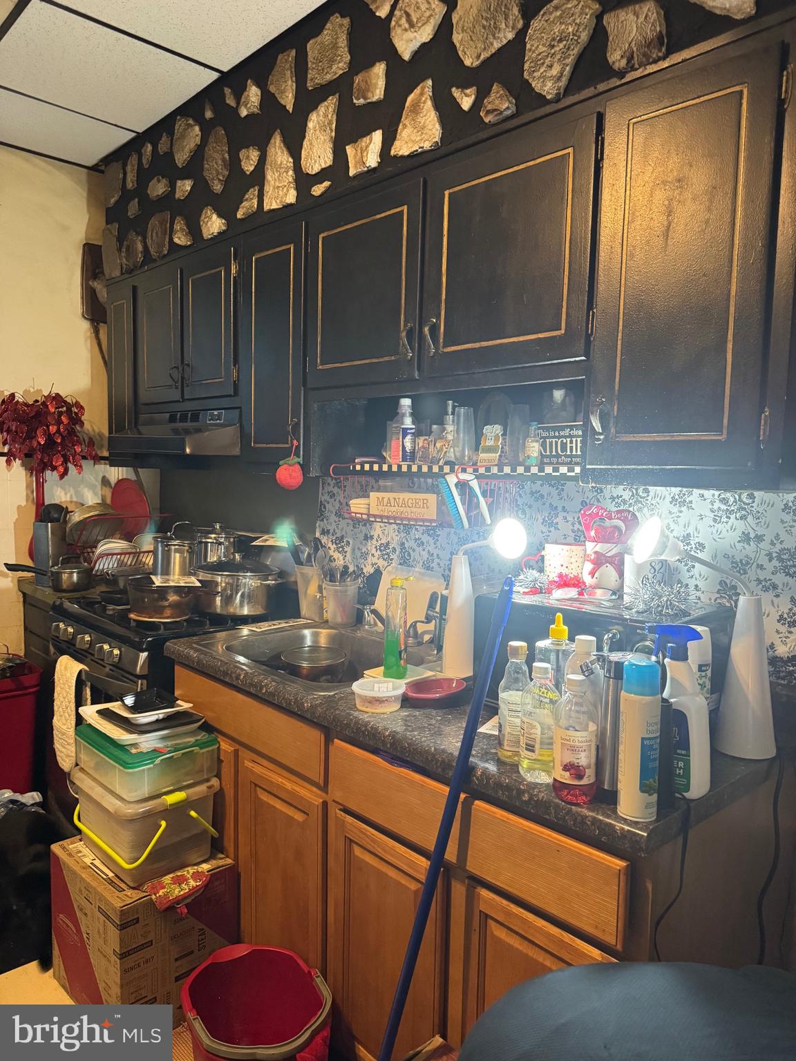 CARROLL PARK - Residential
