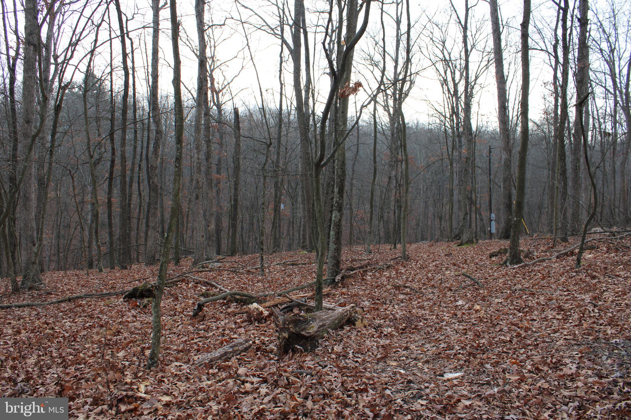WHISPERING PINES - Land