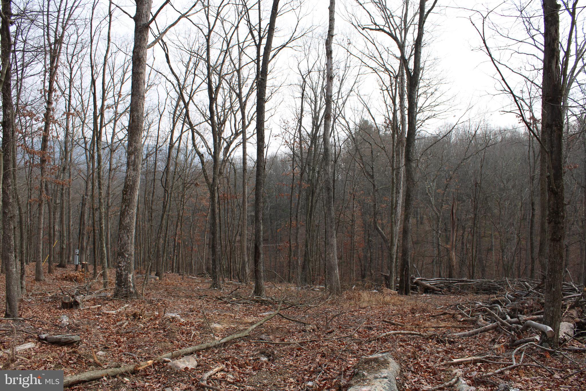 WHISPERING PINES - Land