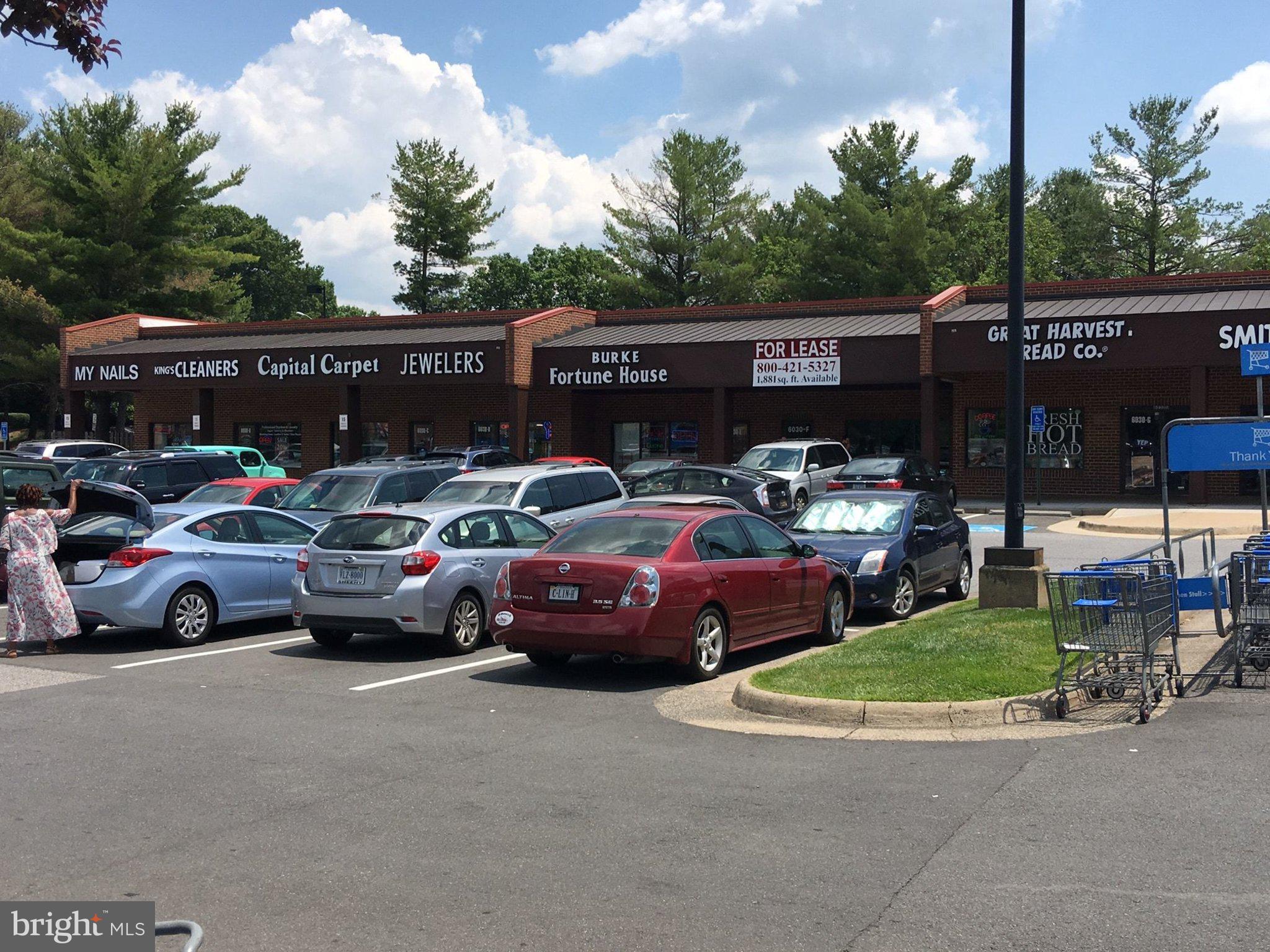 BURKE CENTRE CONSERVANCY - Residential