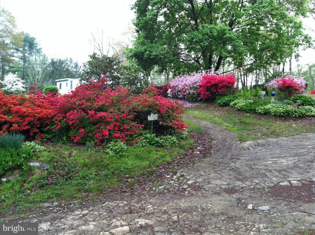 This 4.2 acre park like setting is waiting for your dream home. Located over the line in Lancaster County, this property has an existing well, septic & electric.