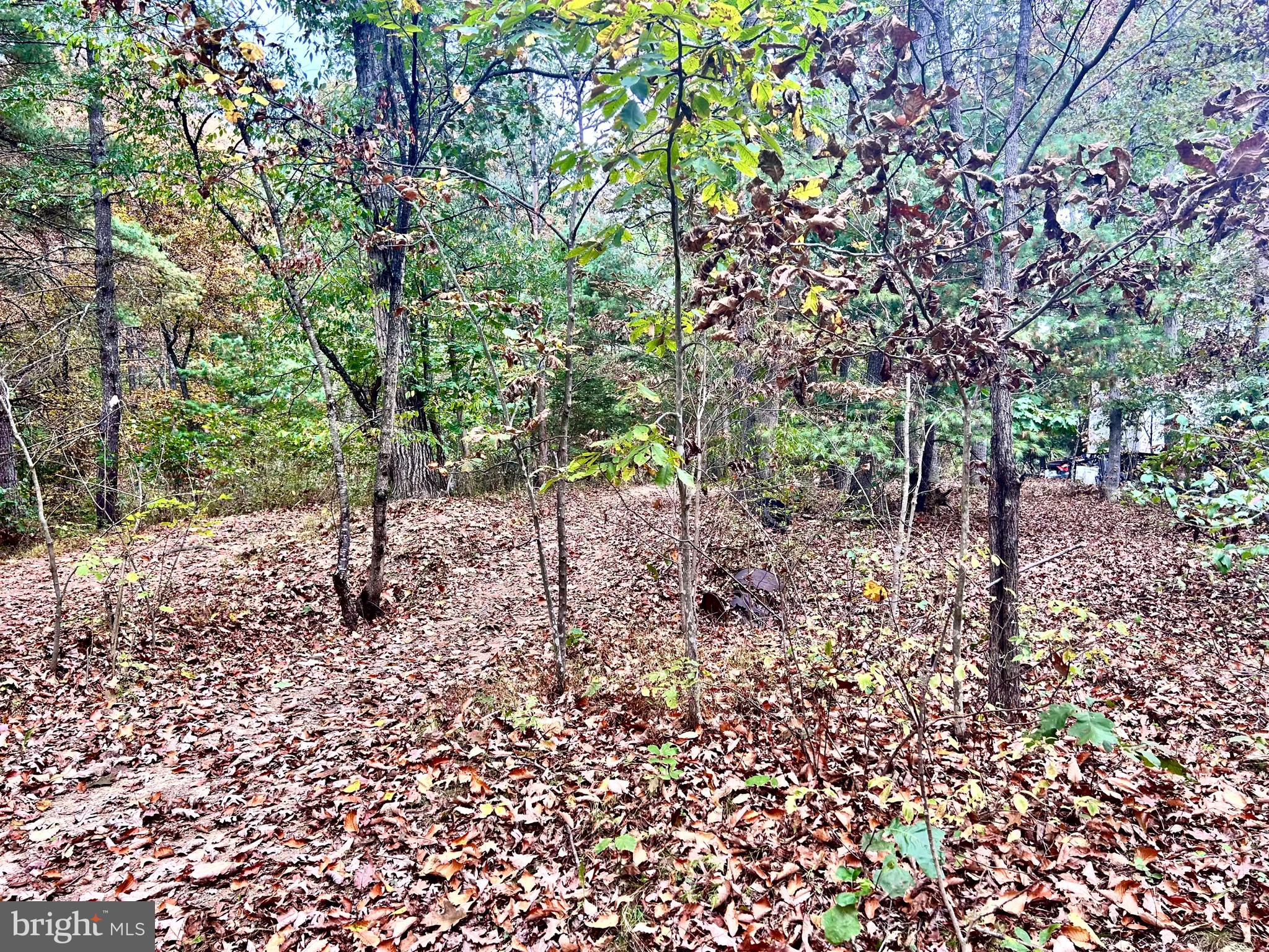 PRICE IMPROVED!  A little off the beaten path, this 2 acre lot offers plenty of tall timber and privacy as it sits close to the end of the road.  No HOA, so you can hunt, camp, ride your 4 wheeler, or build yourself a full time home.   This lot has 2 flat, level areas, big enough to construct multiple buildings and one of those areas is already cleared.  Haul in some fill dirt between the flats, and you will have yourself a mostly level lot.   Come take a look today.