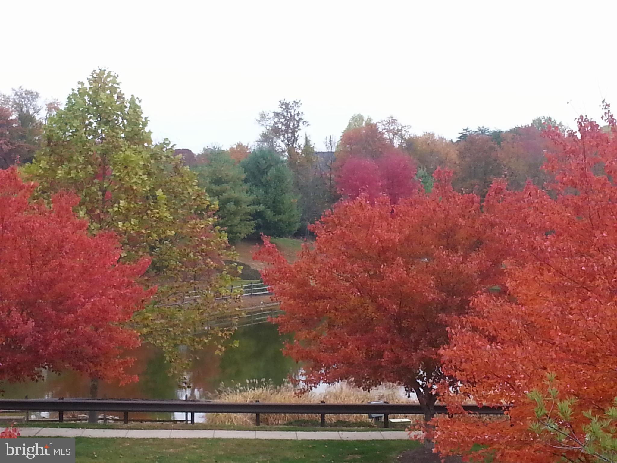 PINEY GLEN VILLAGE - Residential