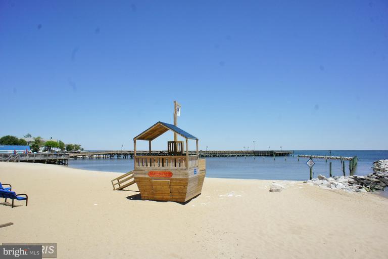CHESAPEAKE LIGHTHOUSE - Residential