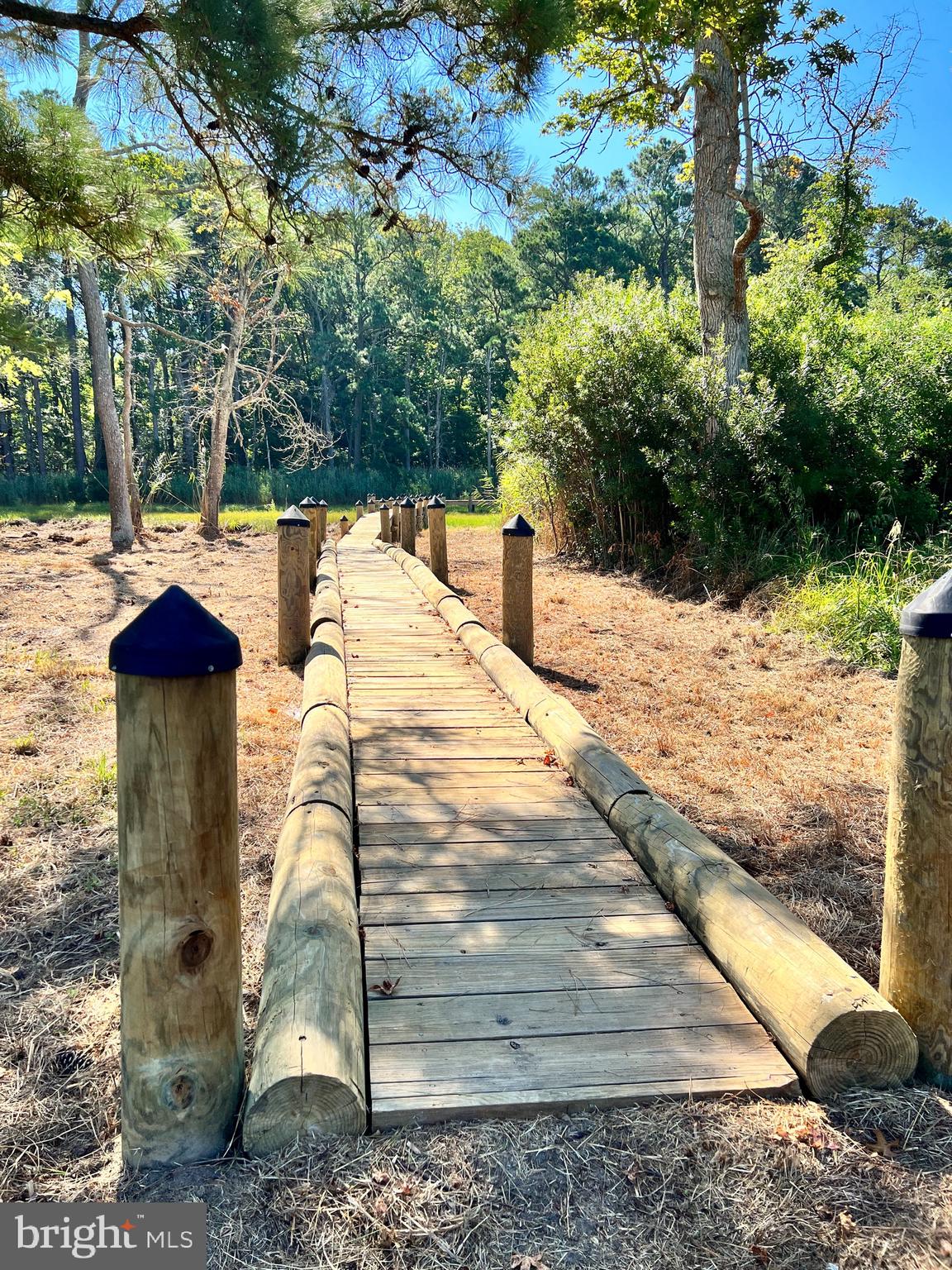 INDIAN CREEK - Land