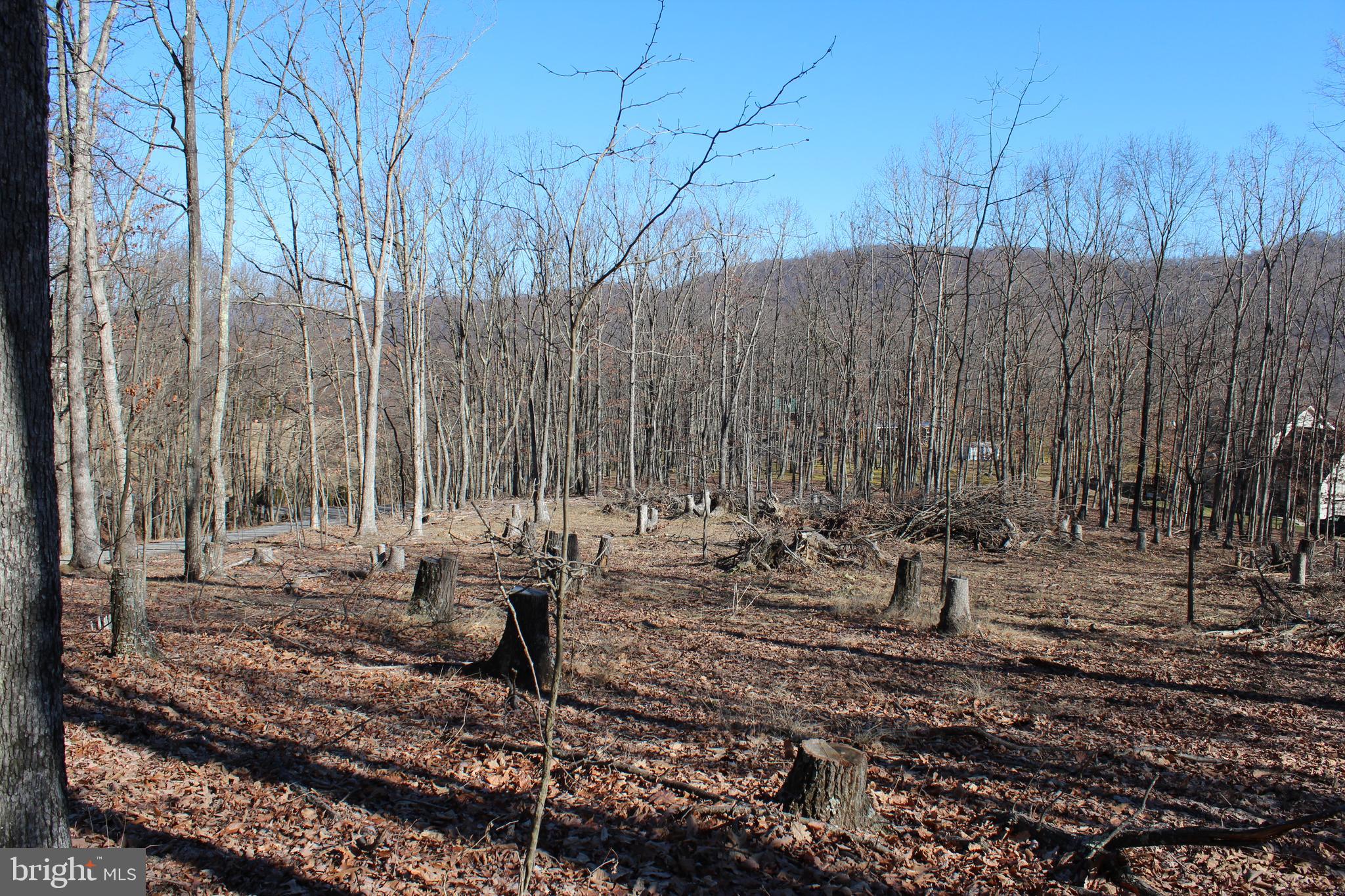 TIMBERLAKE ESTATES - Land