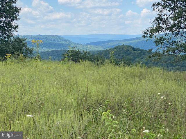 Discover the perfect blend of mountain beauty and build-ready convenience at 377 Old Scott Road, Moorefield, WV.
This 15.87-acre property offers an ideal escape with 6 cleared acres ready for your dream home, cabin, or weekend retreat. Imagine waking up to panoramic mountain views, with the rest of the acreage providing a peaceful wooded backdrop for privacy, trails, and abundant wildlife.

The cleared homesite makes construction simpler while preserving nearly 10 acres of natural woodland—perfect for hiking, exploring, or creating your own outdoor haven. The property’s elevated setting captures the best of Hardy County’s scenic landscapes, with the promise of fresh mountain air and star-filled skies at night.

Located just a short drive from downtown Moorefield, this property offers a blend of rural tranquility and convenient access to shopping, dining, and recreational amenities. Whether you’re looking to build a full-time residence or a private weekend getaway, this versatile parcel offers the space, setting, and serenity you’ve been searching for.