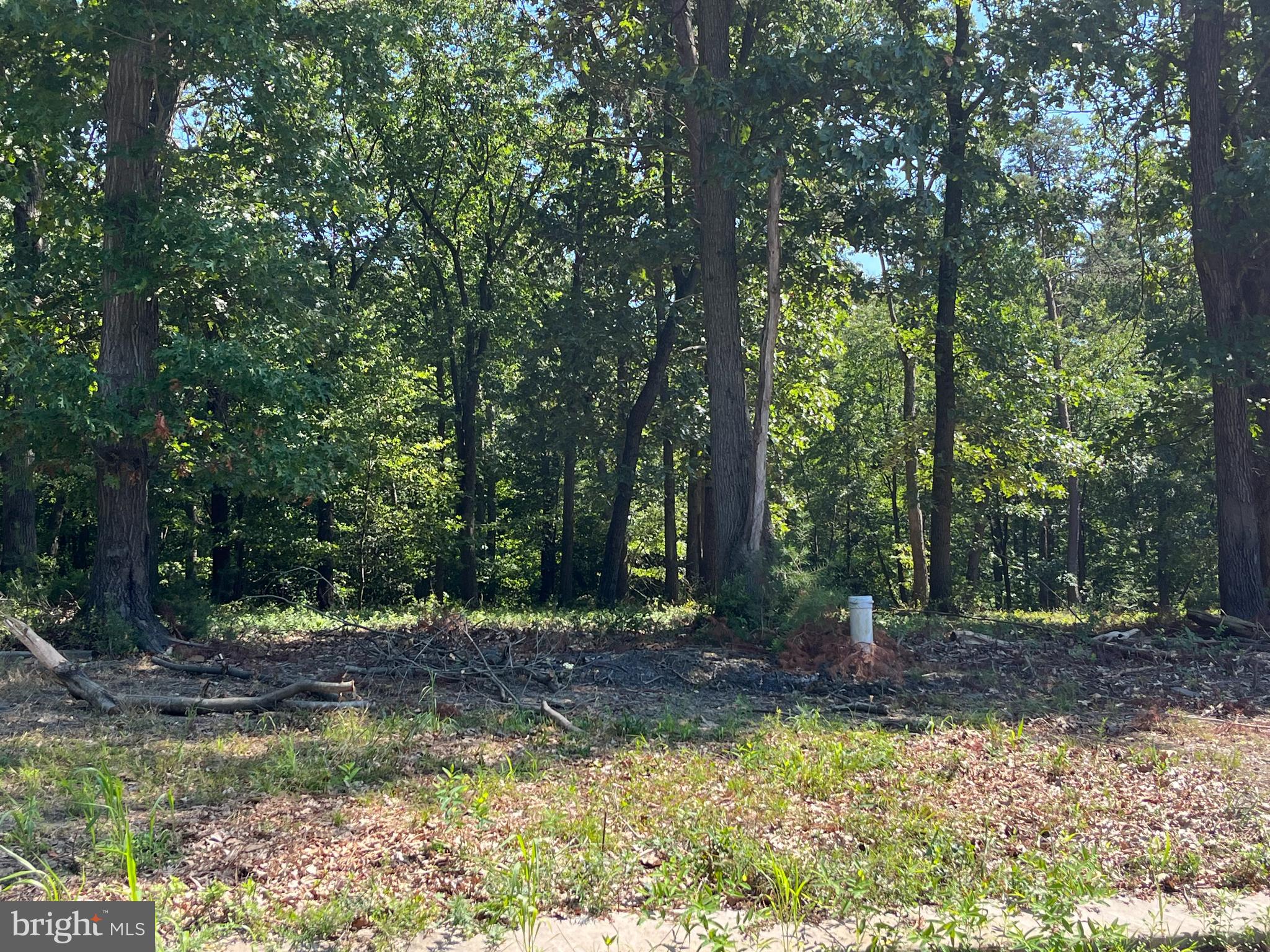 Finished level, wooded lot in a small subdivision adjacent to the MD/PA line.  Perc approved for sand mound.  Well at site.
