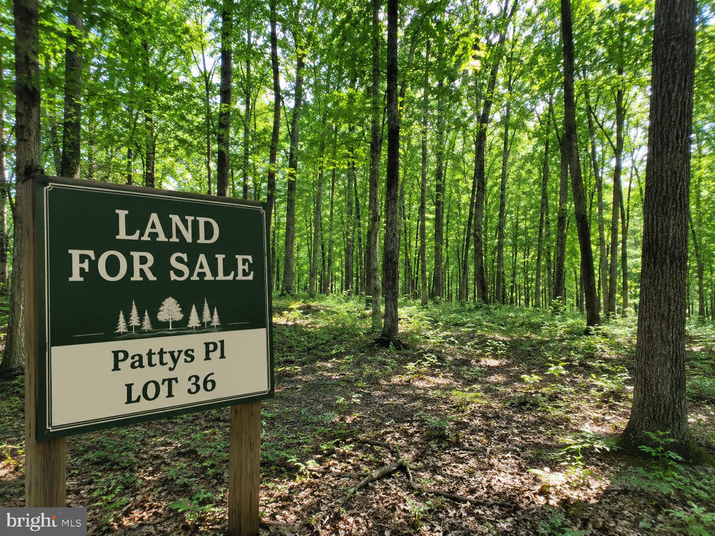 POTOMAC HEIGHTS - Land