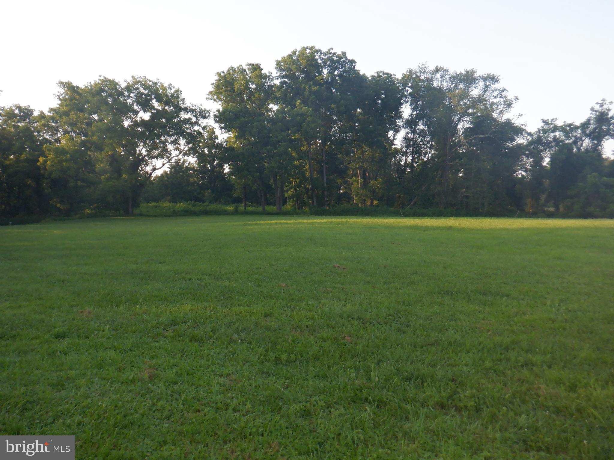 Welcome to Baldwin Estates. Lot #3 is a 1.33 acres, mostly cleared lot. Ideal location to build your dream home. Property has a recorded perc and sewerage reserve area, and newly drilled well. Located off the main road with privacy and great views. This is a rare find! Bring your builder and customize your house or use our preferred builder Caruso Homes with a to be built new construction. Call listing agent with any questions.