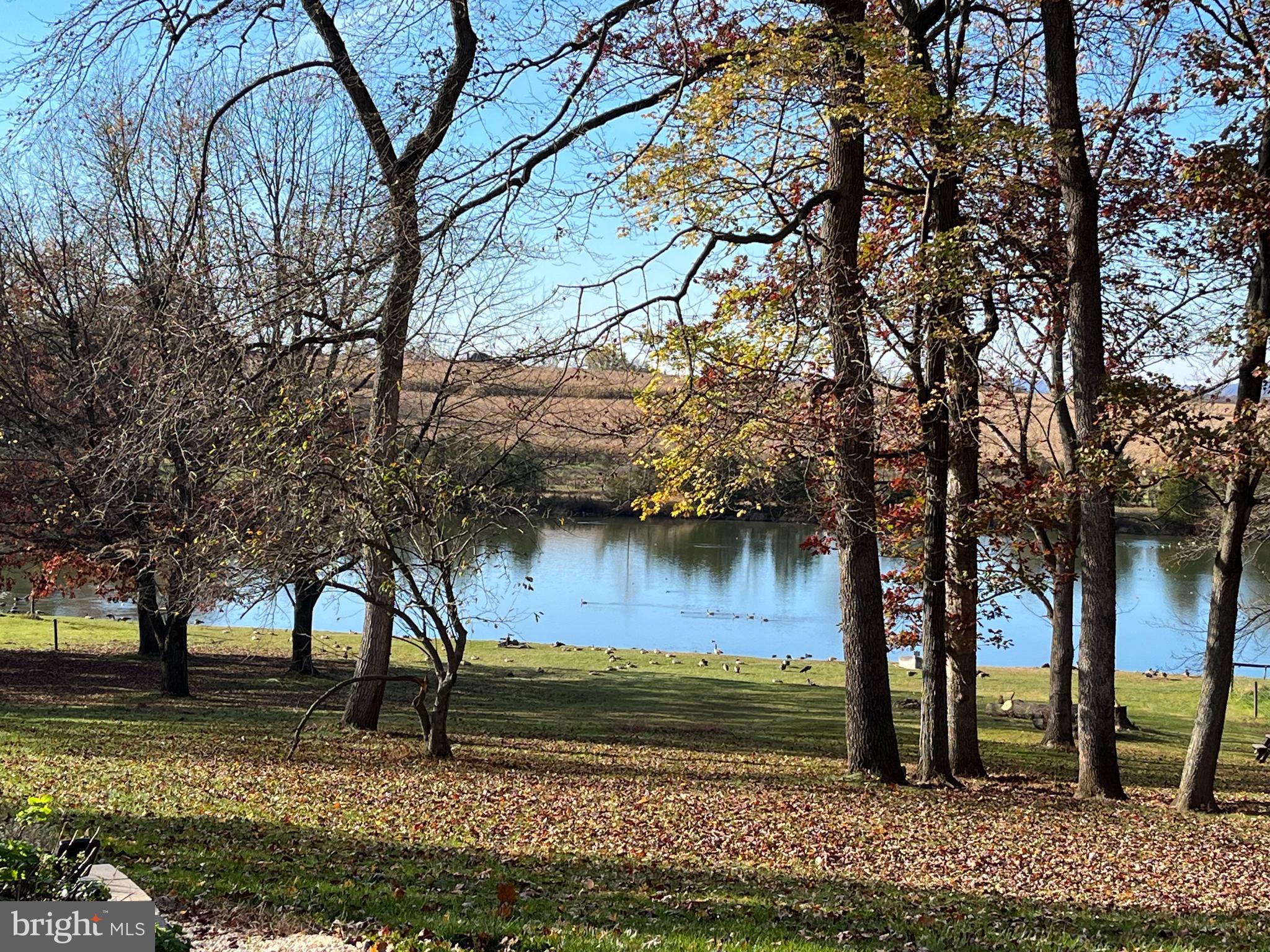 STONEY POINT - Residential