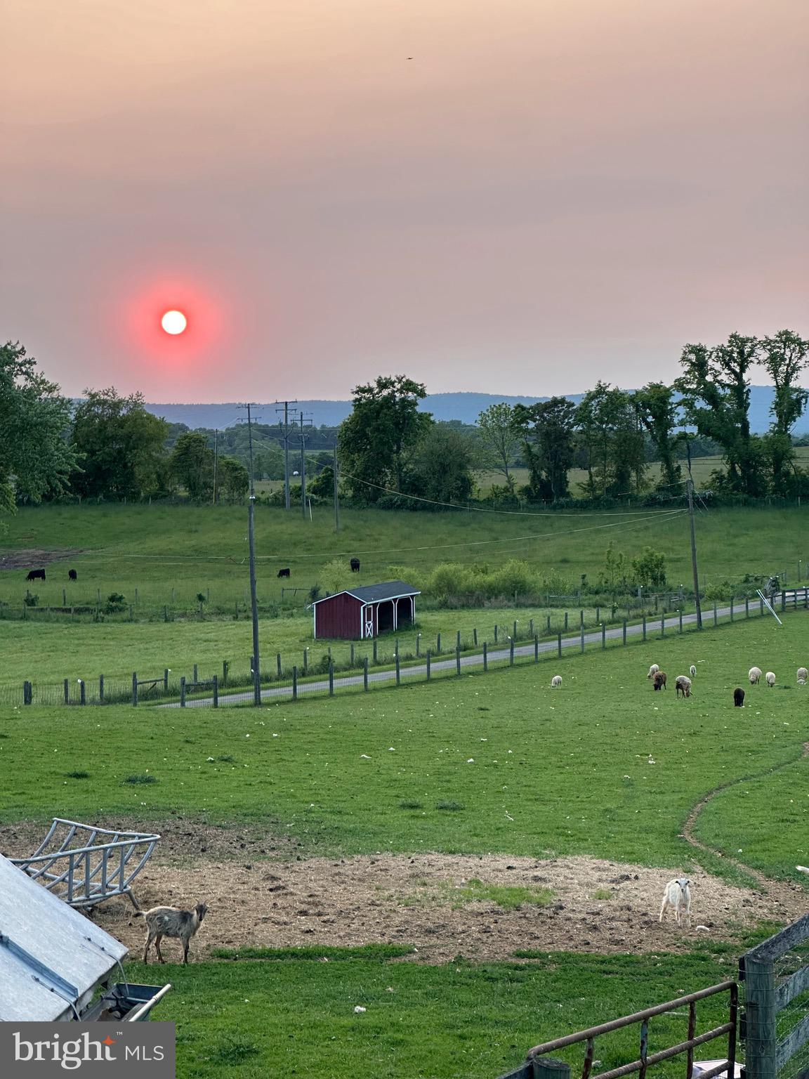 NONE AVAILABLE - Farm