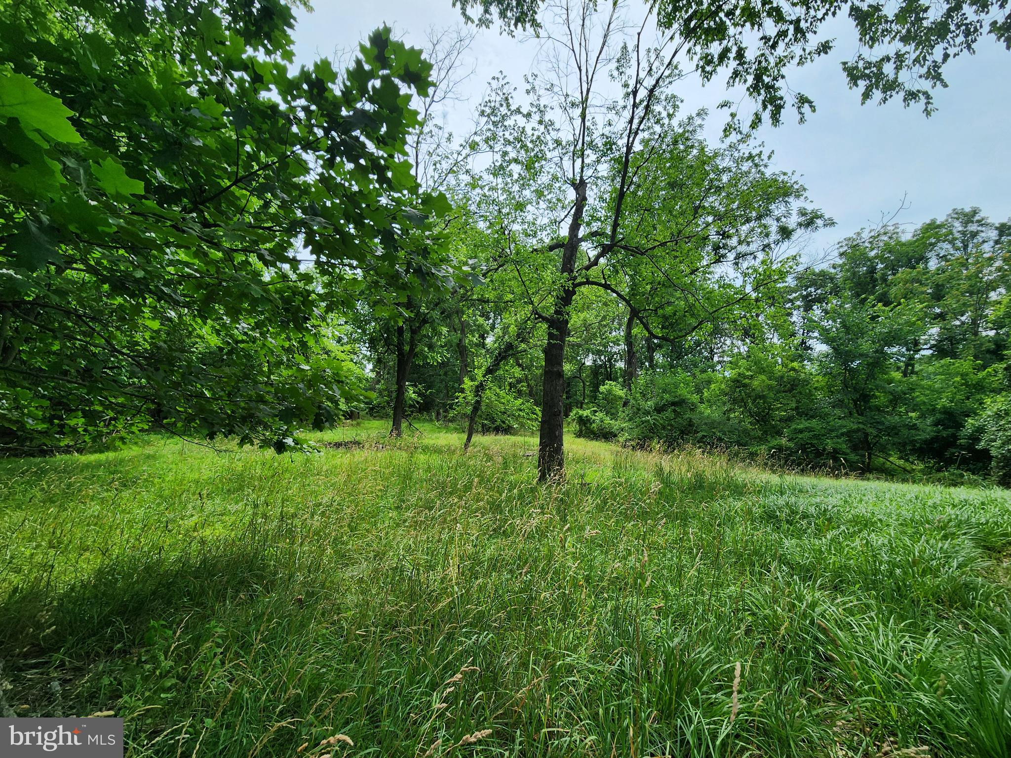 FRANKLINTOWN HISTORIC DISTRICT - Land