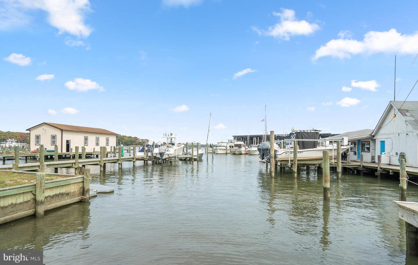 SELBY ON THE BAY - Residential