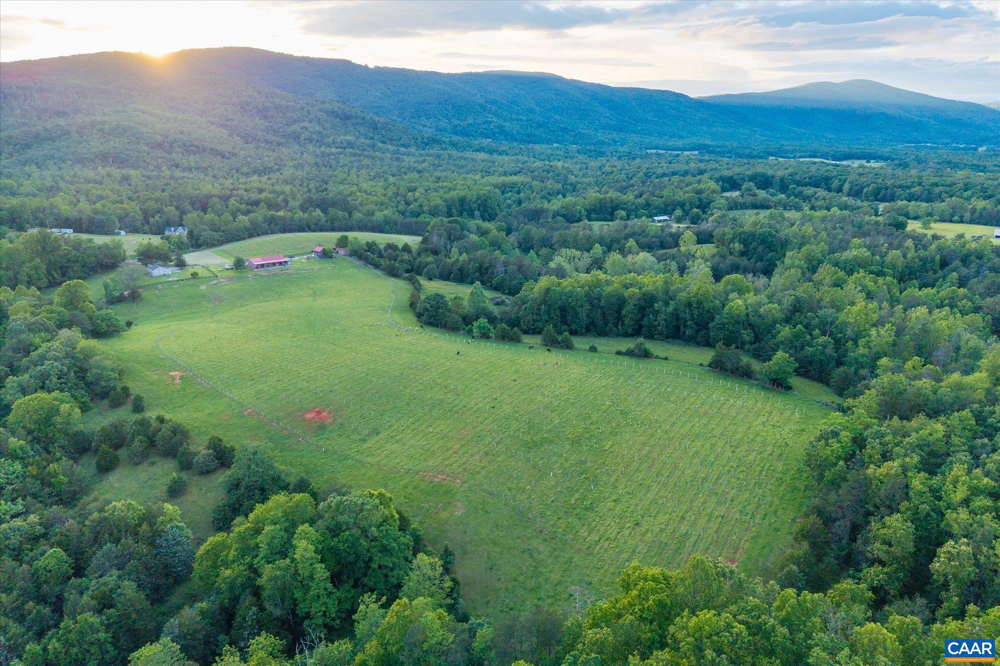 "The Back Farm" of White Hall Estate. This tract has approximately 78.57 acres, fronting on Break Heart Rd and Slam Gate Rd, and features a 4 bedroom, 1.5 bath residence. Beautiful rolling pastures surrounded by absolutely stunning Blue Ridge Mountain views. Numerous sheds and outbuildings. Just 14� miles from the City of Charlottesville.,Granite Counter,Wood Cabinets,Fireplace in Family Room,Fireplace in Living Room,Fireplace in Study/Library