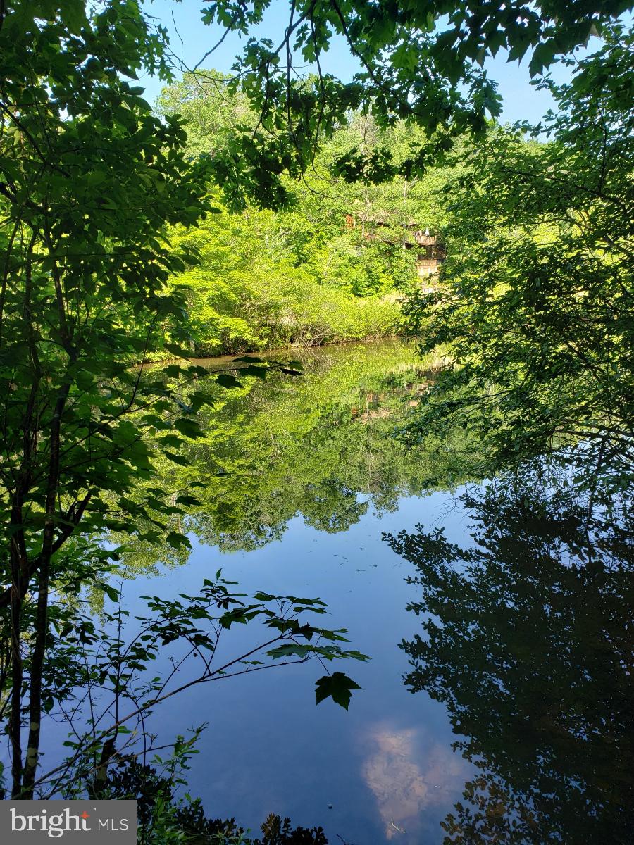 LAKE HOLIDAY ESTATES - Land