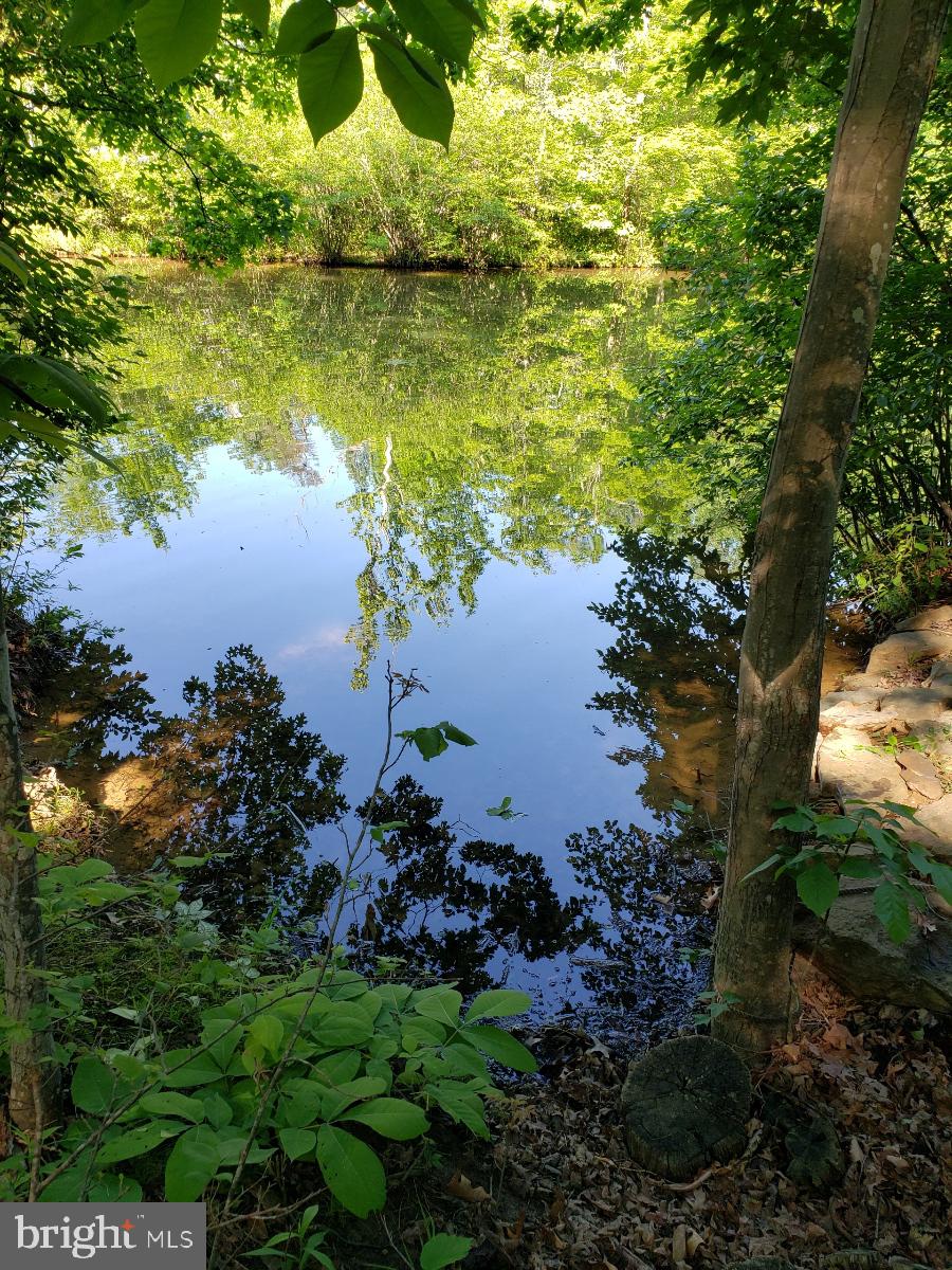 LAKE HOLIDAY ESTATES - Land