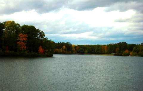 LAKE CAROLINE - Land