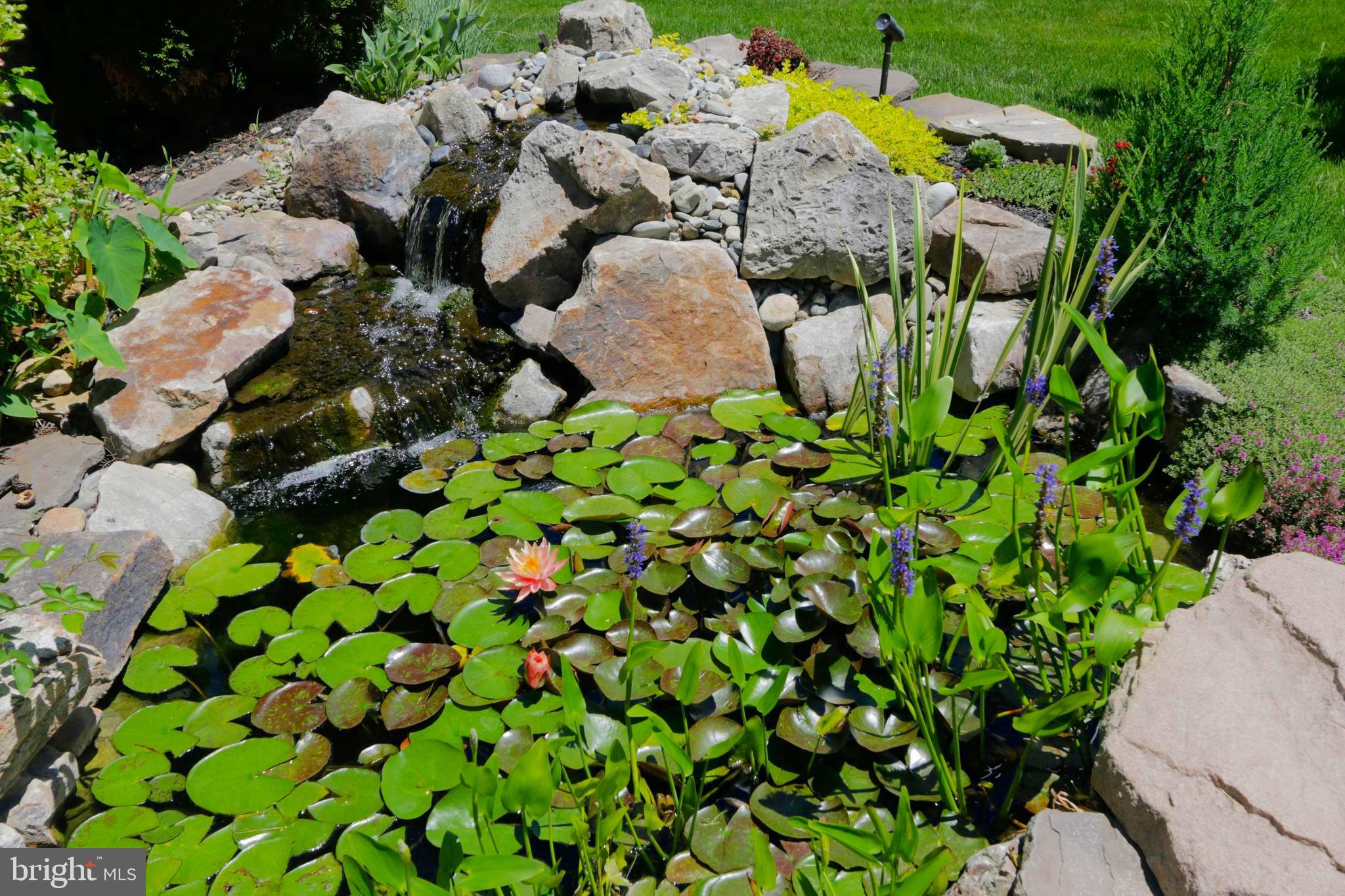 SARATOGA WOODS - Residential