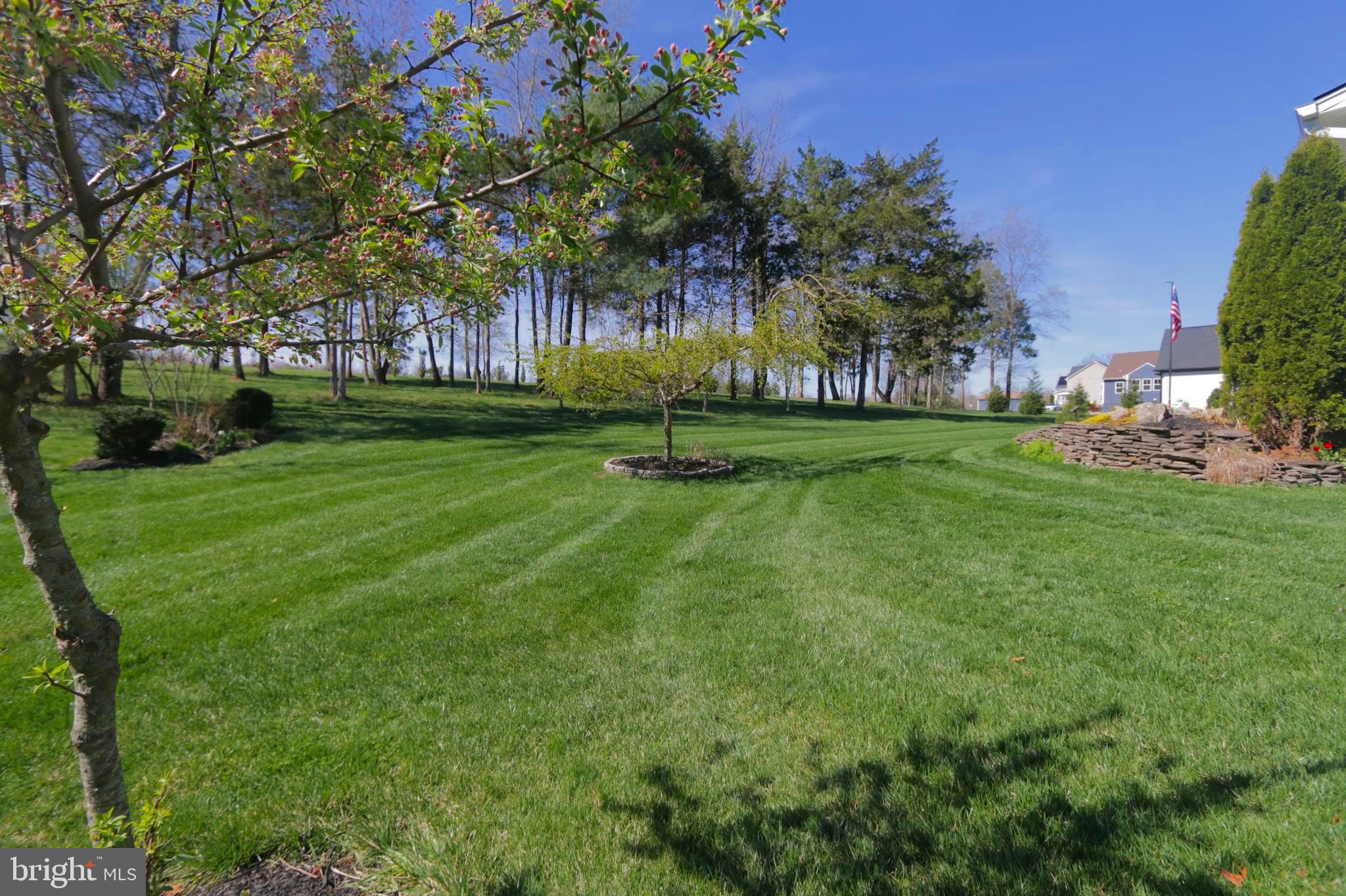 SARATOGA WOODS - Residential