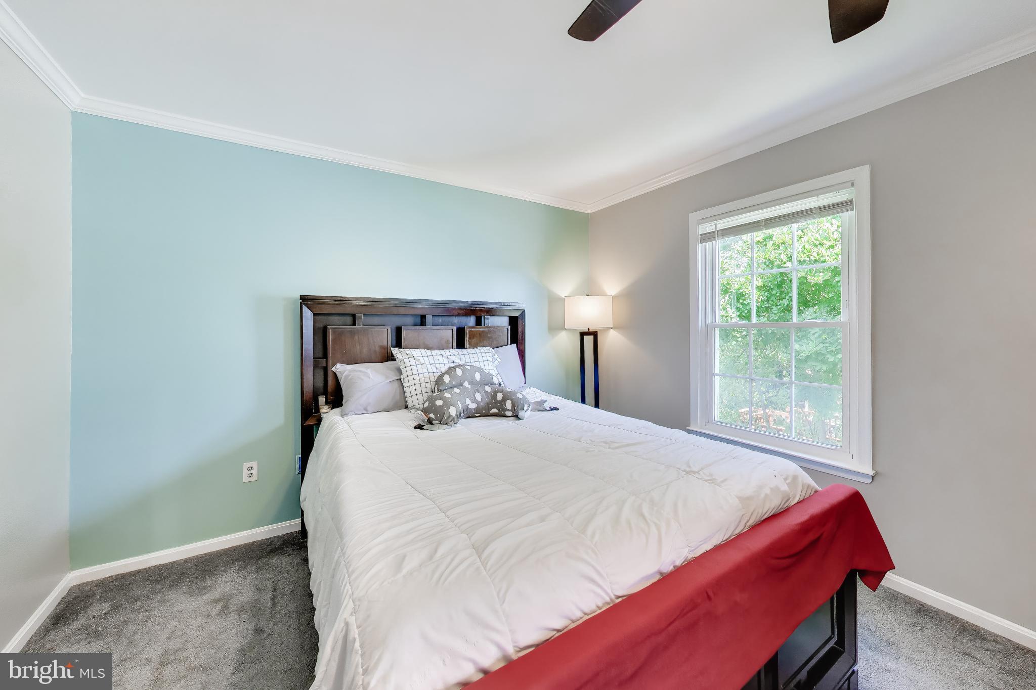 PRINCETON SQUARE - Residential