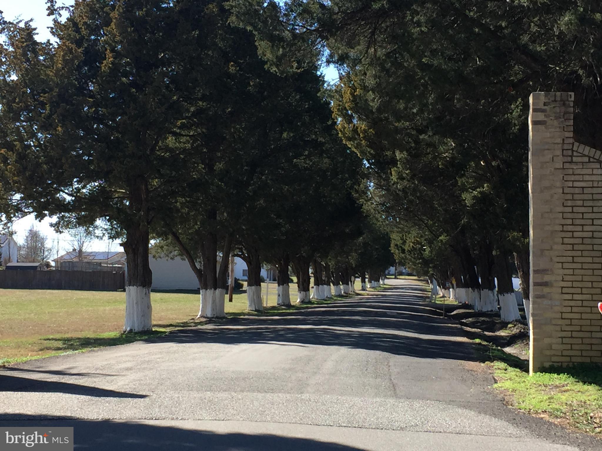 LONGVIEW - Land
