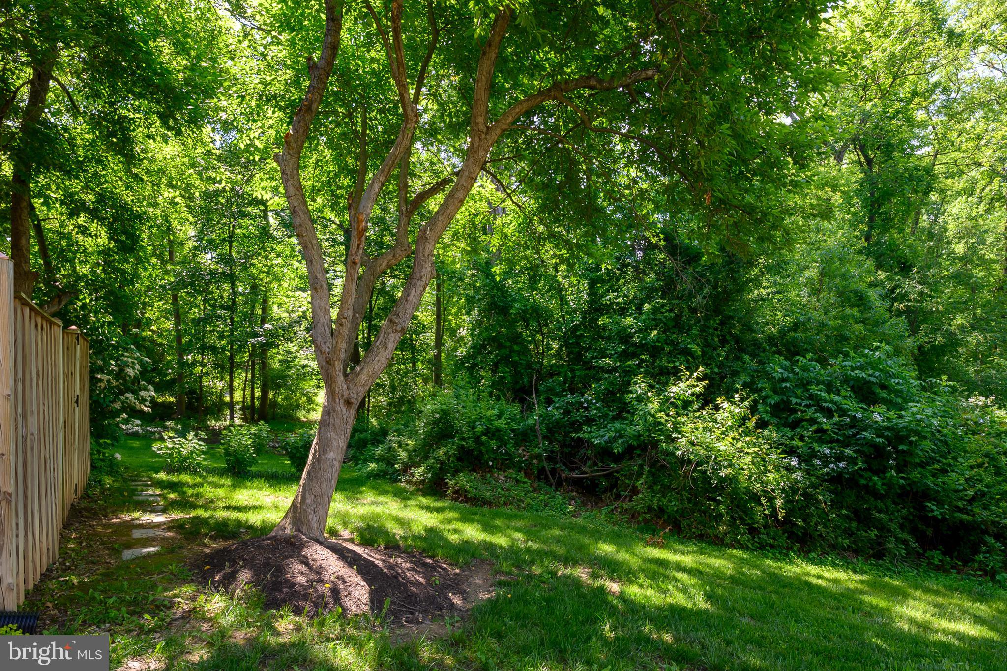 VILLAGE OF HICKORY RIDGE - Residential