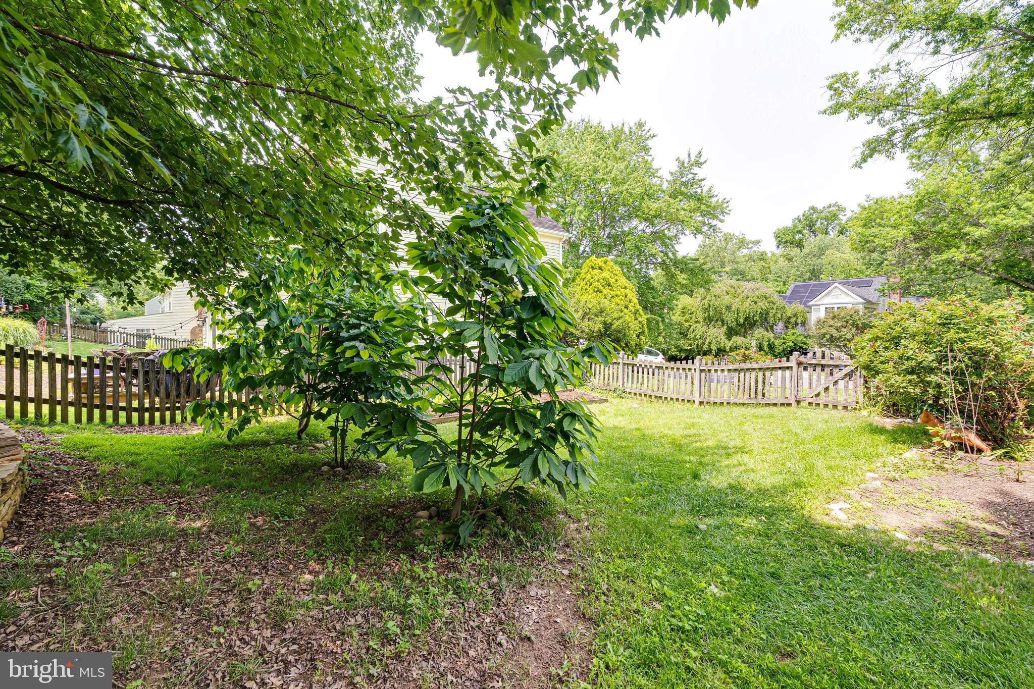 DRANESVILLE ESTATES - Residential