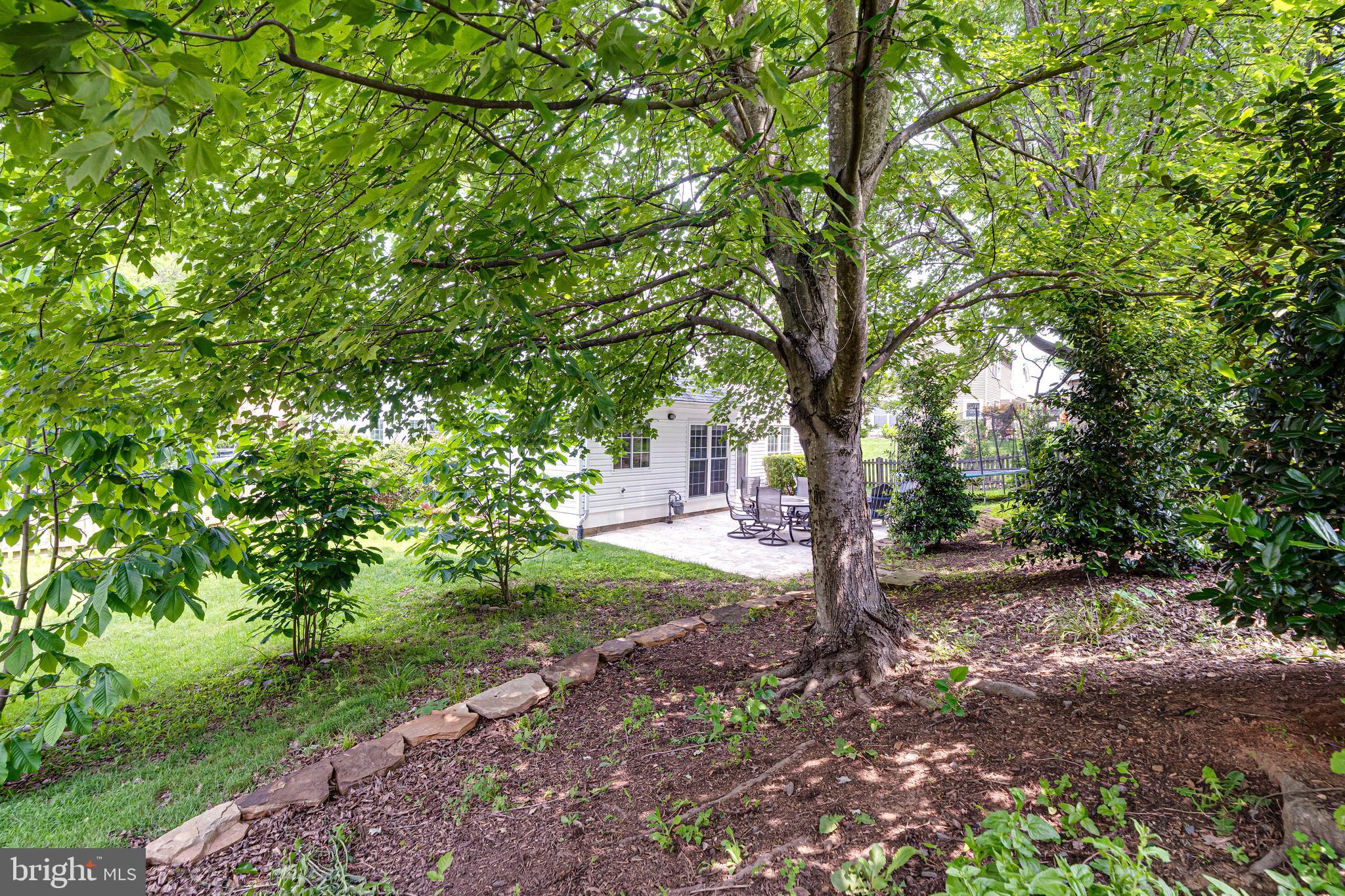 DRANESVILLE ESTATES - Residential