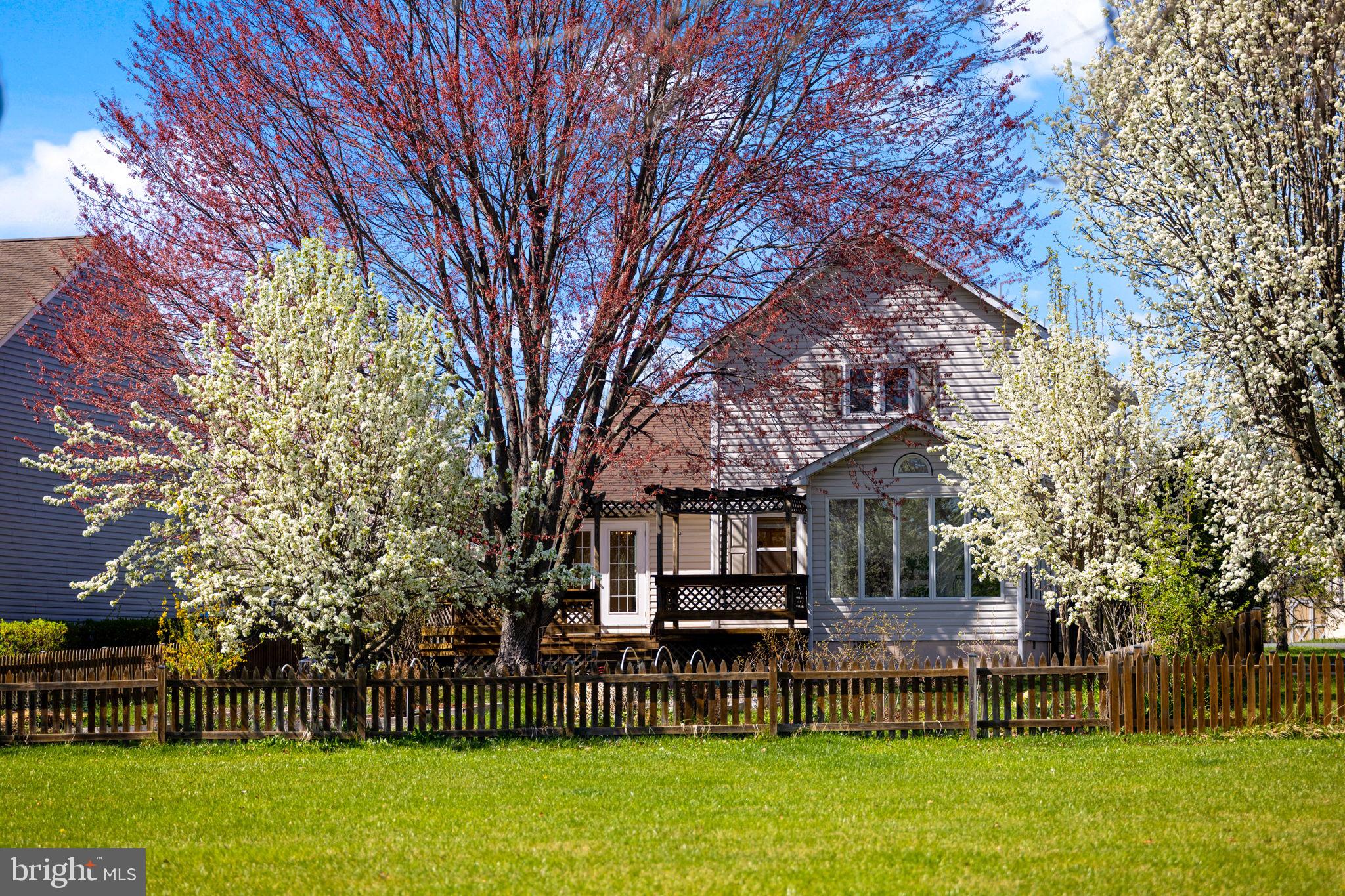 ALBIN VILLAGE - Residential