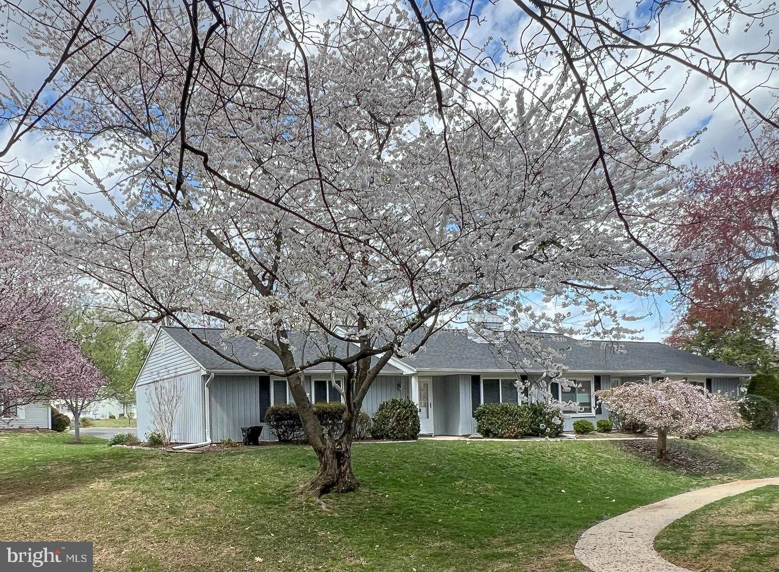 Charming Cabot Model Patio Home in Leisure World

Nestled on a peaceful cul-de-sac with no through traffic, this beautifully maintained Cabot model patio home offers comfort, convenience, and thoughtful updates in the sought-after Active Senior Community of Leisure World.

Featuring three spacious bedrooms and two fully renovated baths, this home boasts stylish LVT flooring throughout the main living areas. The cathedral ceiling living room is enhanced by an electric insert fireplace within the original wood-burning hearth, creating a warm and inviting atmosphere.

The open-concept kitchen shines with granite countertops, stainless steel appliances, light cabinetry, and an oversized peninsula, perfect for entertaining. Sliding patio doors open to a charming paver patio and gated walkway, offering serene outdoor living space.

The two-car garage has been thoughtfully modified, with one bay converted into a  patio room which measures 9' x 13'  in size.   The remaining garage provides ample storage space and room for one car.   

 Additional features include:

Garden storage shed on the patio

Storage pantry in the patio room

Wall cabinets and shelving in the garage

Extra refrigerator in the garage

Freshly painted garage walls and epoxy flooring

Garage door opener with two remotes and an exterior keypad

The beautifully landscaped yard showcases Mountain Laurel, azaleas, peonies, hydrangeas, crepe myrtle, and a Japanese maple, adding to the home’s curb appeal. Exterior entry lights are on automatic timers, and a motion-activated security light is installed on the patio.

This well-maintained and move-in-ready home is a rare find—don’t miss this opportunity to enjoy the best of Leisure World living!    Leisure World offers golf, indoor and outdoor pools, tennis and pickleball courts, 
Clubhouses, many club and organizations, onsite medical facility and transportation.  Come Join the World!