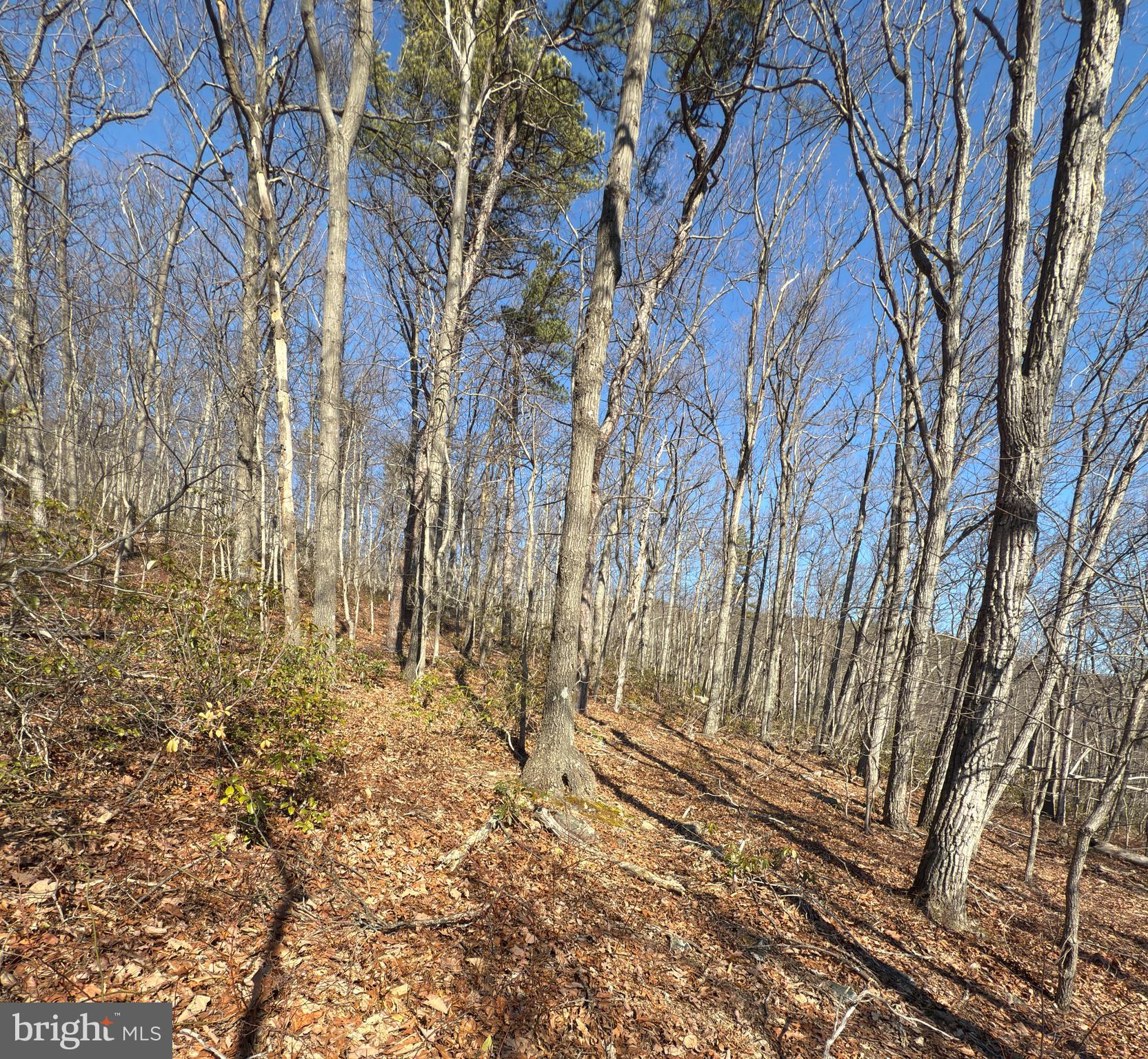 WILDE  ACRES - Land