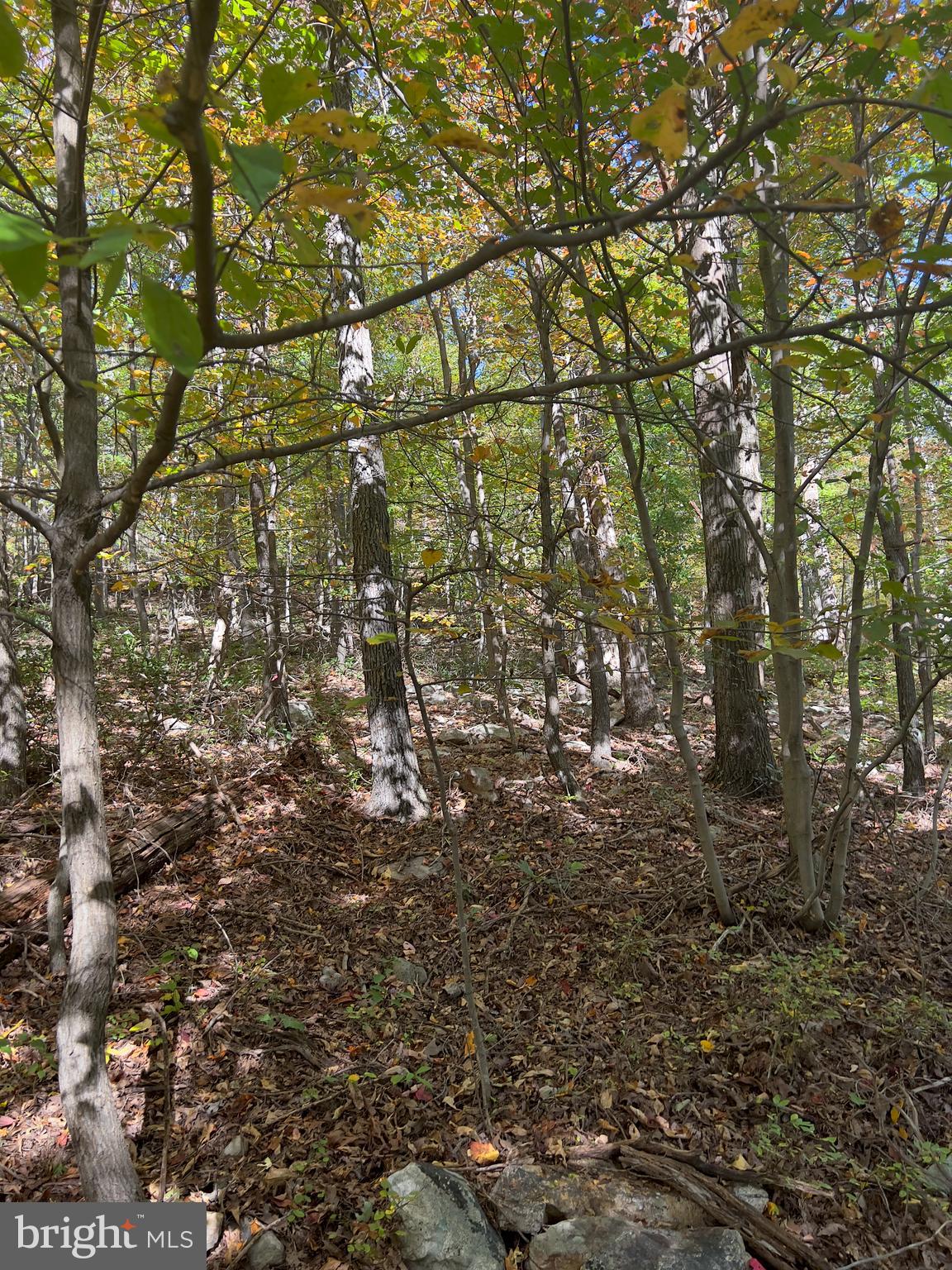 WILDE  ACRES - Land
