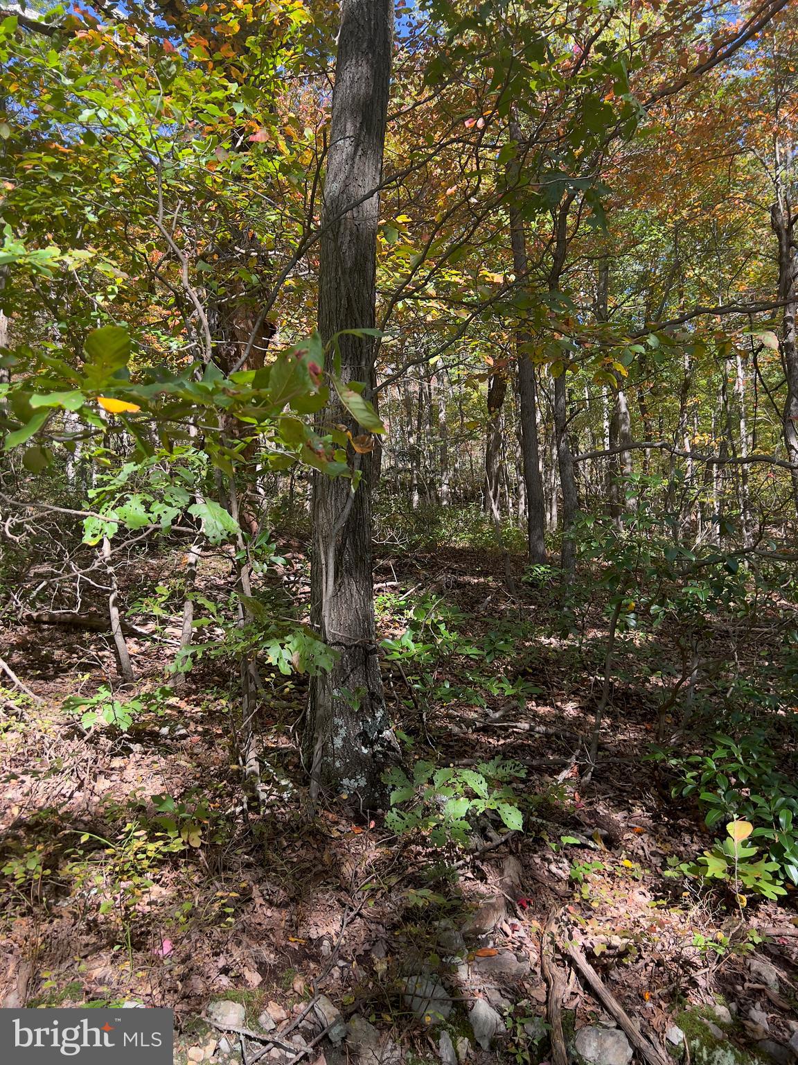 WILDE  ACRES - Land