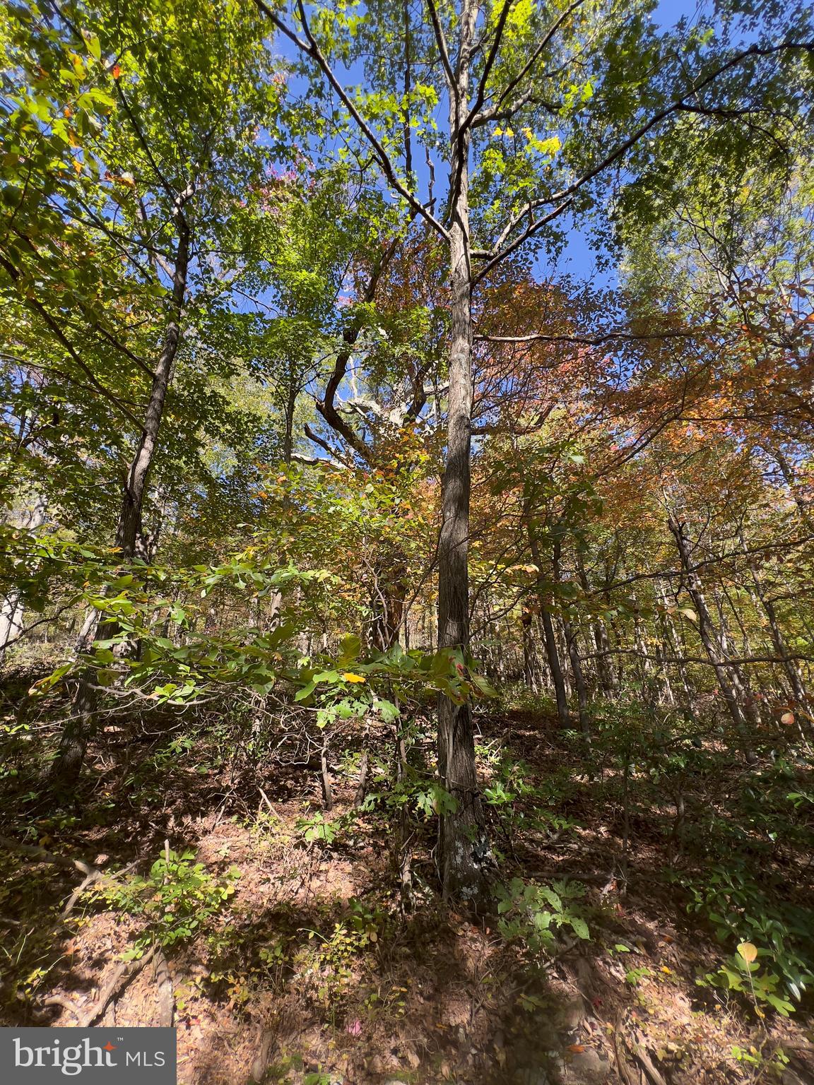 WILDE  ACRES - Land