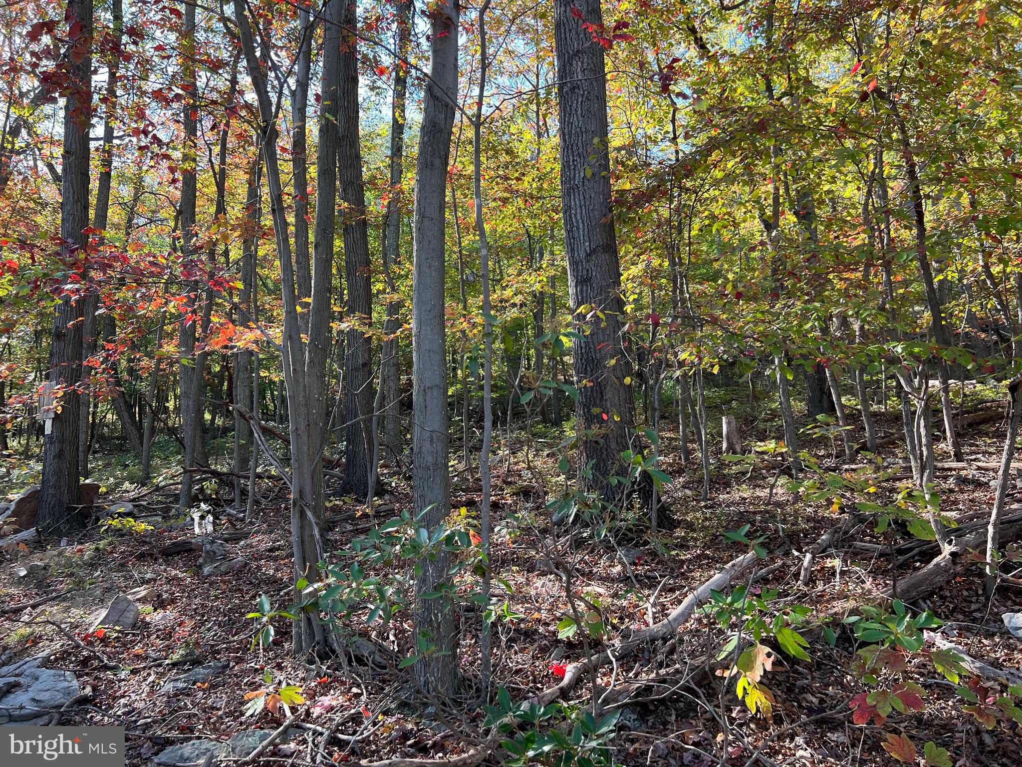 WILDE  ACRES - Land