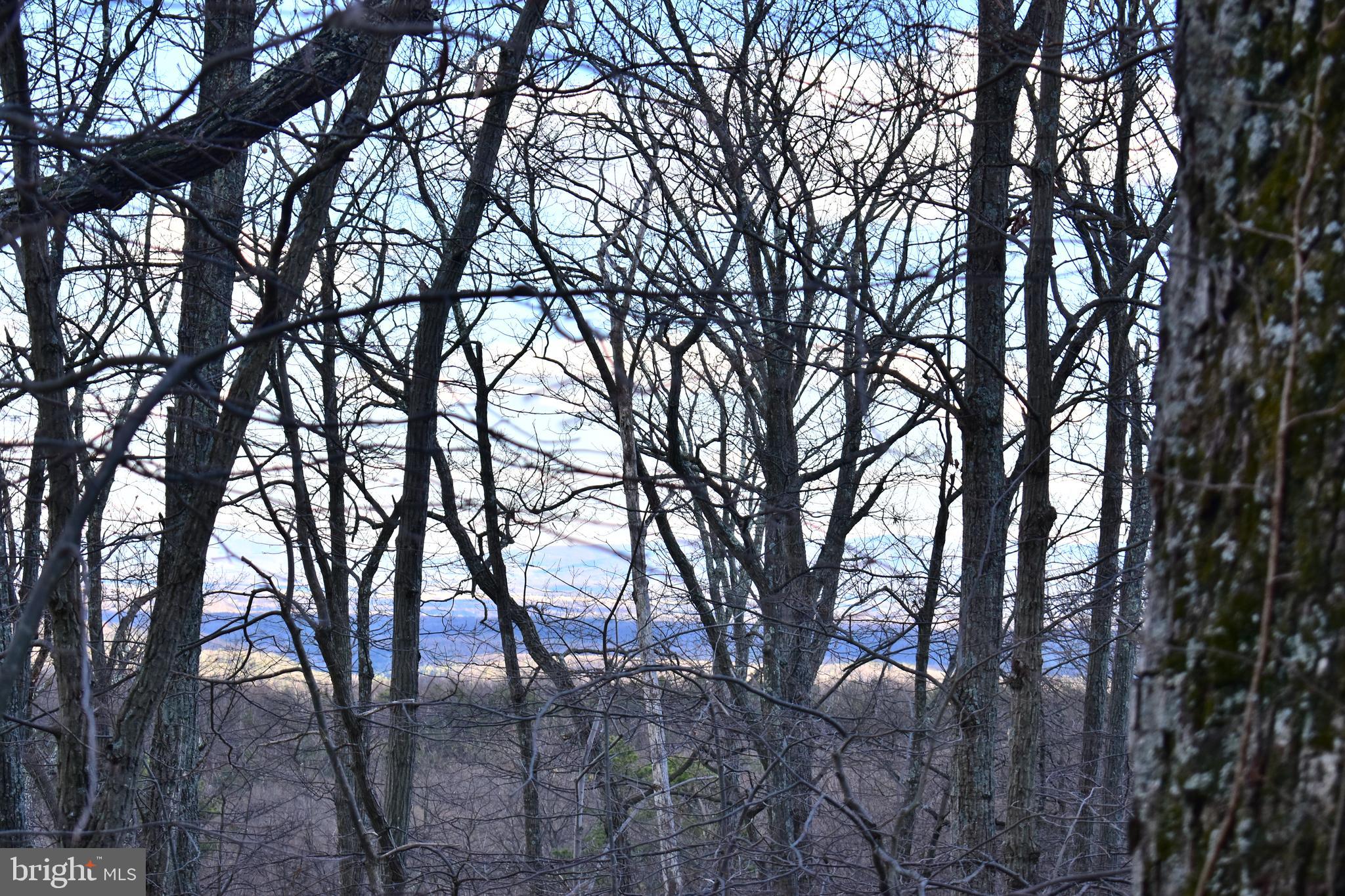 WILDE  ACRES - Land