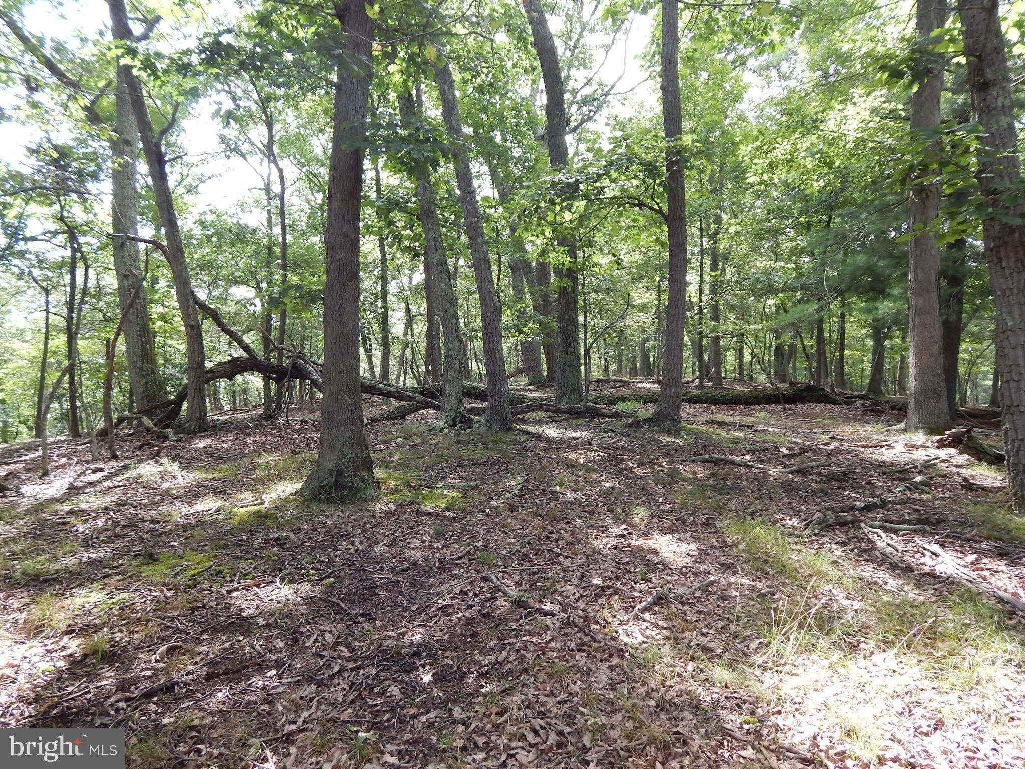 RIVER RIDGE - Land