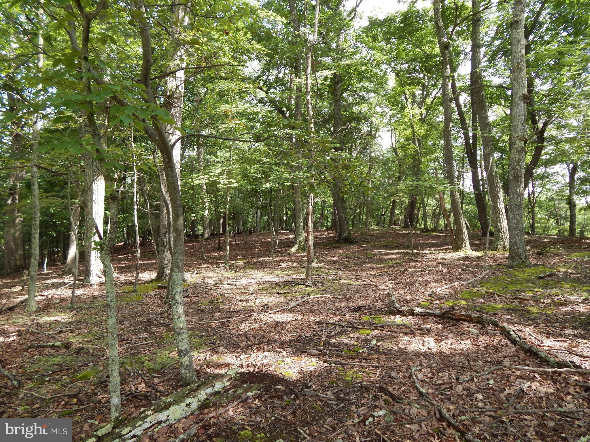 RIVER RIDGE - Land