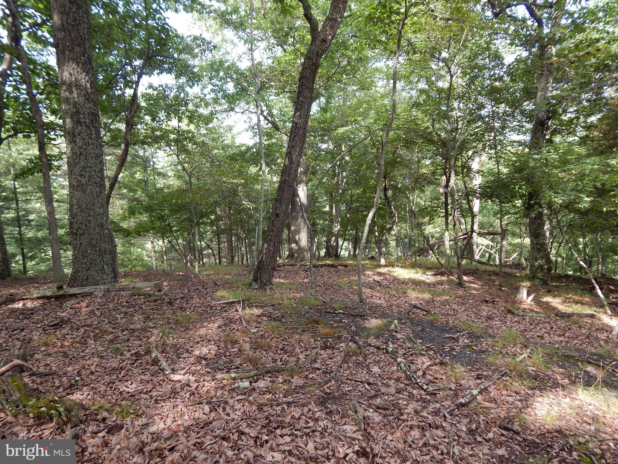 RIVER RIDGE - Land