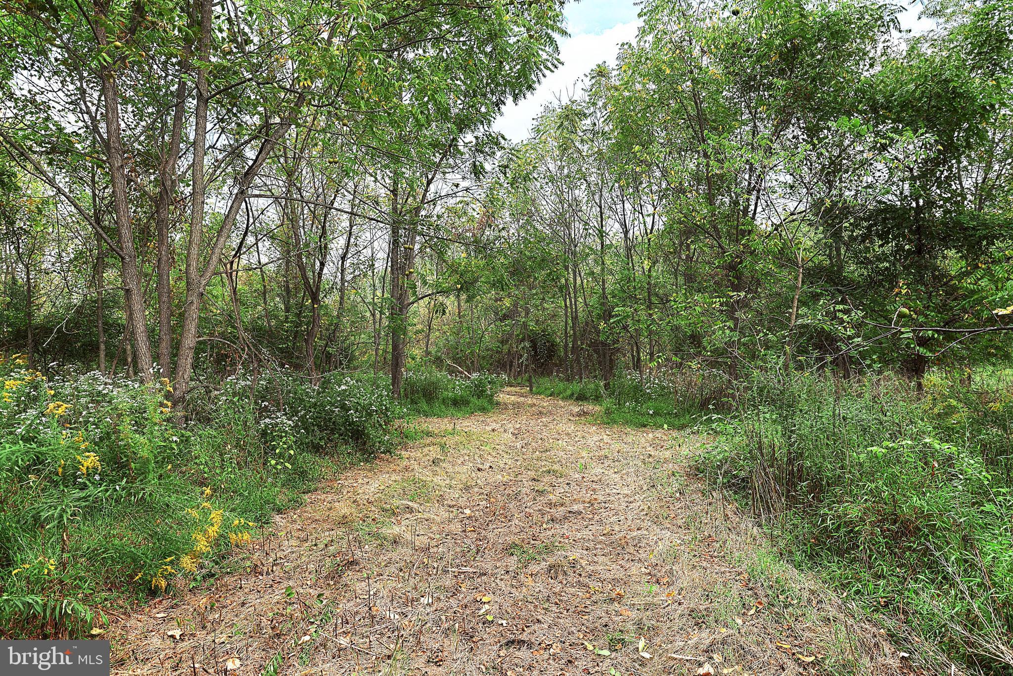 BUTLER TOWNSHIP - Residential