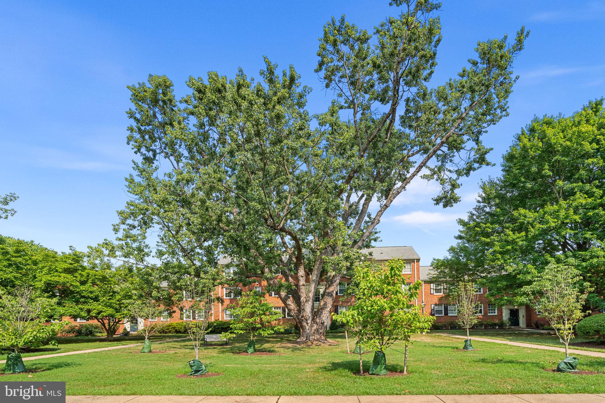 BELLE VIEW - Residential