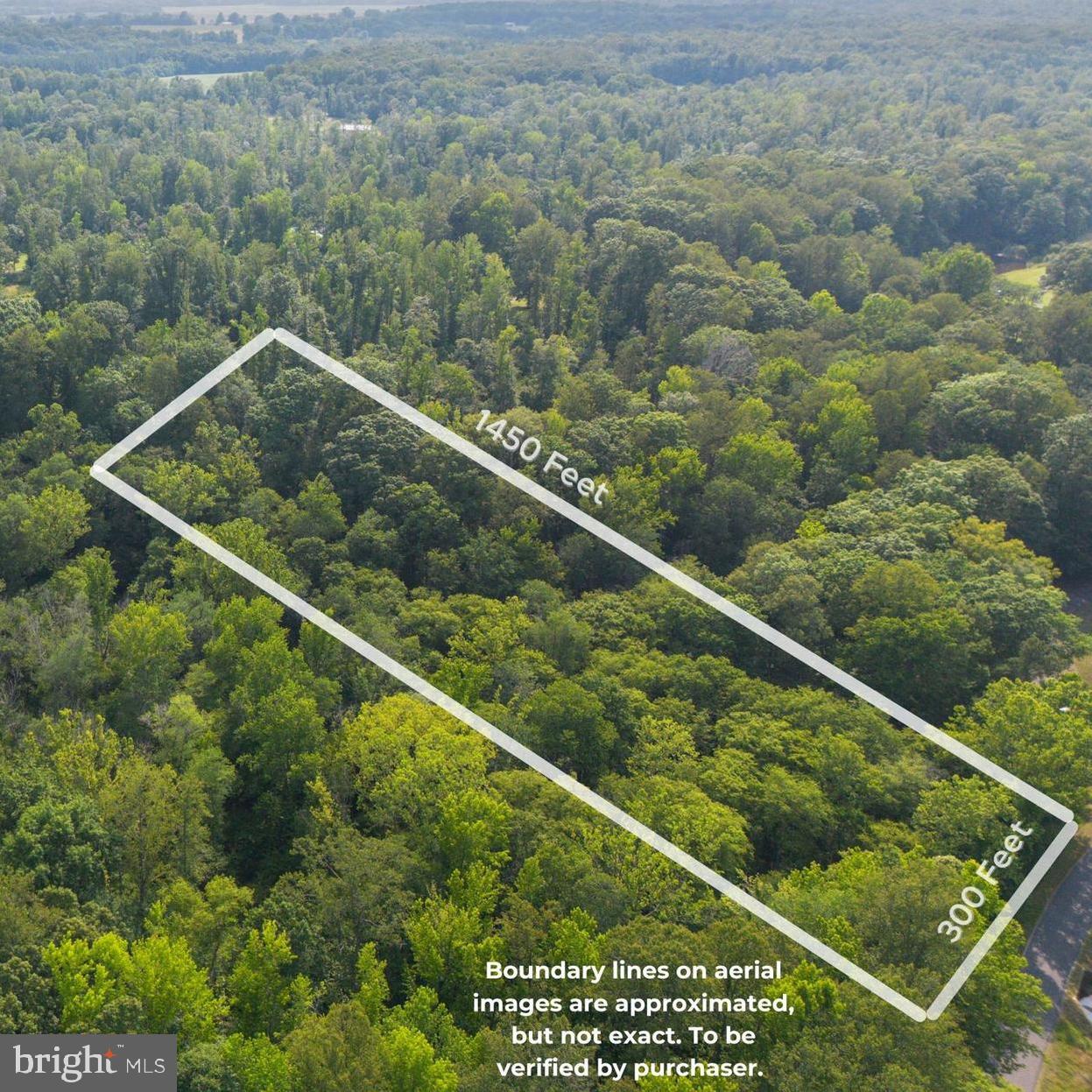 Welcome to Payton’s Place! Gorgeous Wooded Homesite boasting TEN ACRES of Buildable Land in King George with NO HOA!! Ready for you to bring your builder and Build your Dream Home in King George County! Land has already been perked for a 4 Bedroom conventional system, streamlining the building process for you! The lot layout consists of approximately 300 feet of road frontage, and is approximately 1450 feet long. This wooded parcel is perked for a 4 Bedroom Conventional system, with your Homesite already mapped out for you! Just bring your builder, submit your plans with the county, and watch your vision unfold! Inquire today! Additional Lots, both cleared and wooded, available as well. ALL ready to build your dream home! Adjacent Parcel, Lot 3, 10 Acres is also for sale. Lot 17, 10 Acres is also available for sale! Double your lot size for extra privacy, or buy it with your best friend or a family member! Or if you like your space, stick them way down the road on Lot 17! Send your kids to great King George County Public Schools! Don’t forget nearby Grocery Stores, Libraries, Gyms, Restaurants, Storefronts, and so much more, this acreage on Salem Church Road is as convenient as it is unique! Just 1-2 hours from major cities like Washington D.C. and Richmond, even closer to Dahlgren, Fredericksburg, Colonial Beach, and more; it’s a centralized location you won’t want to miss!