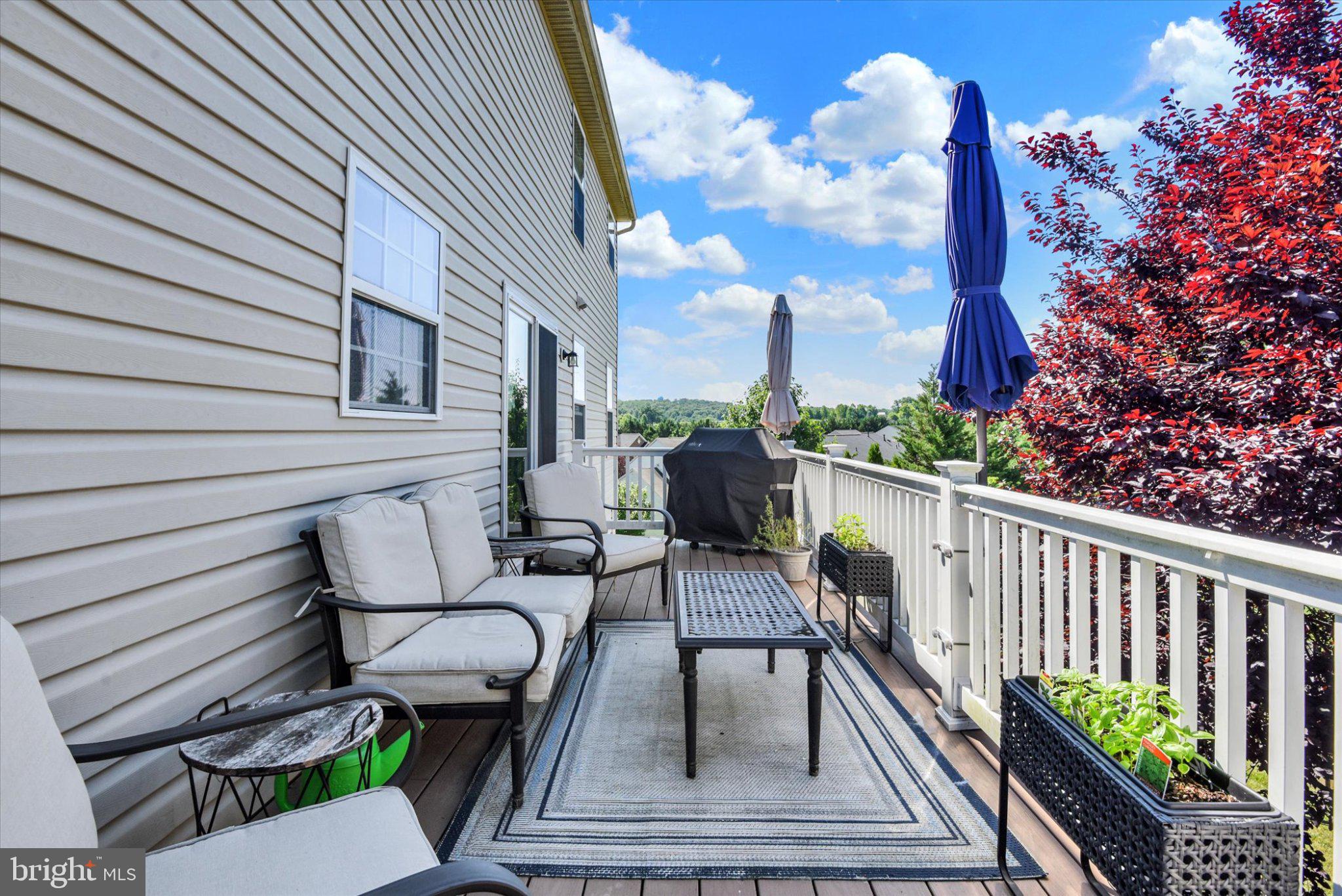 HALLIE HILL FARM - Residential