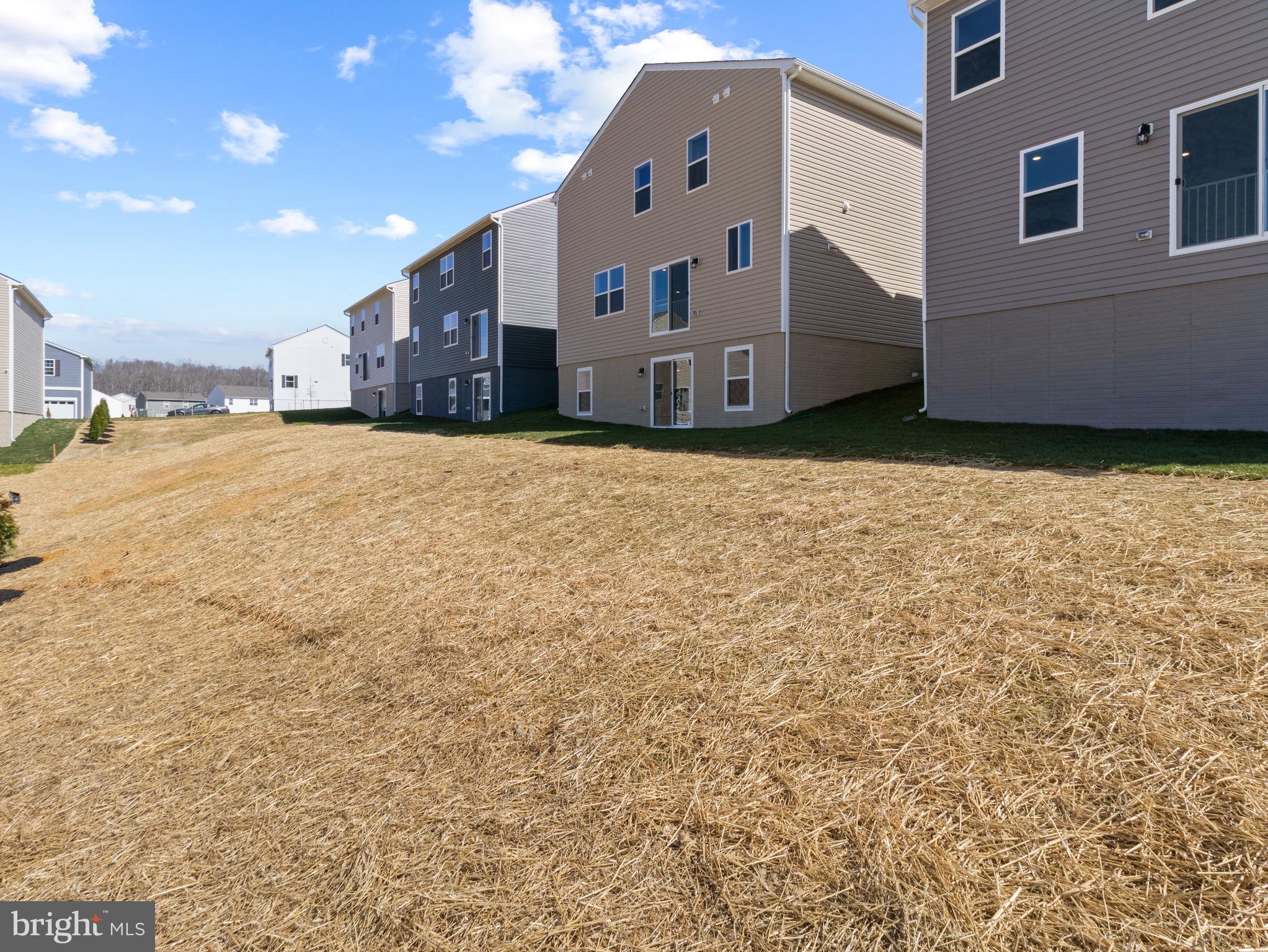 RIDGELY'S RESERVE - Residential